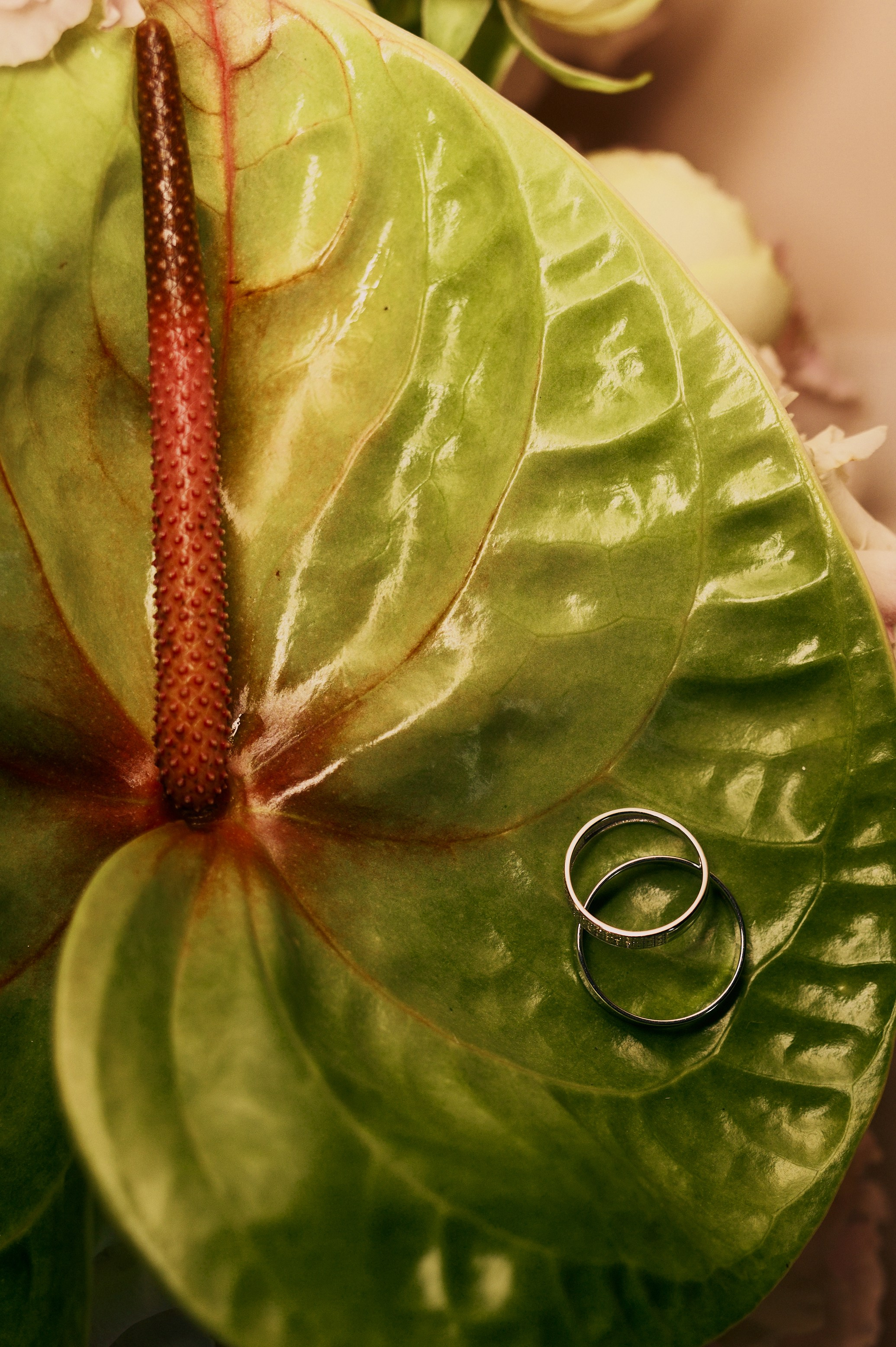 ИВАН И ДАРЬЯ 21|06|25. Свадебное агентство Ива-ивент