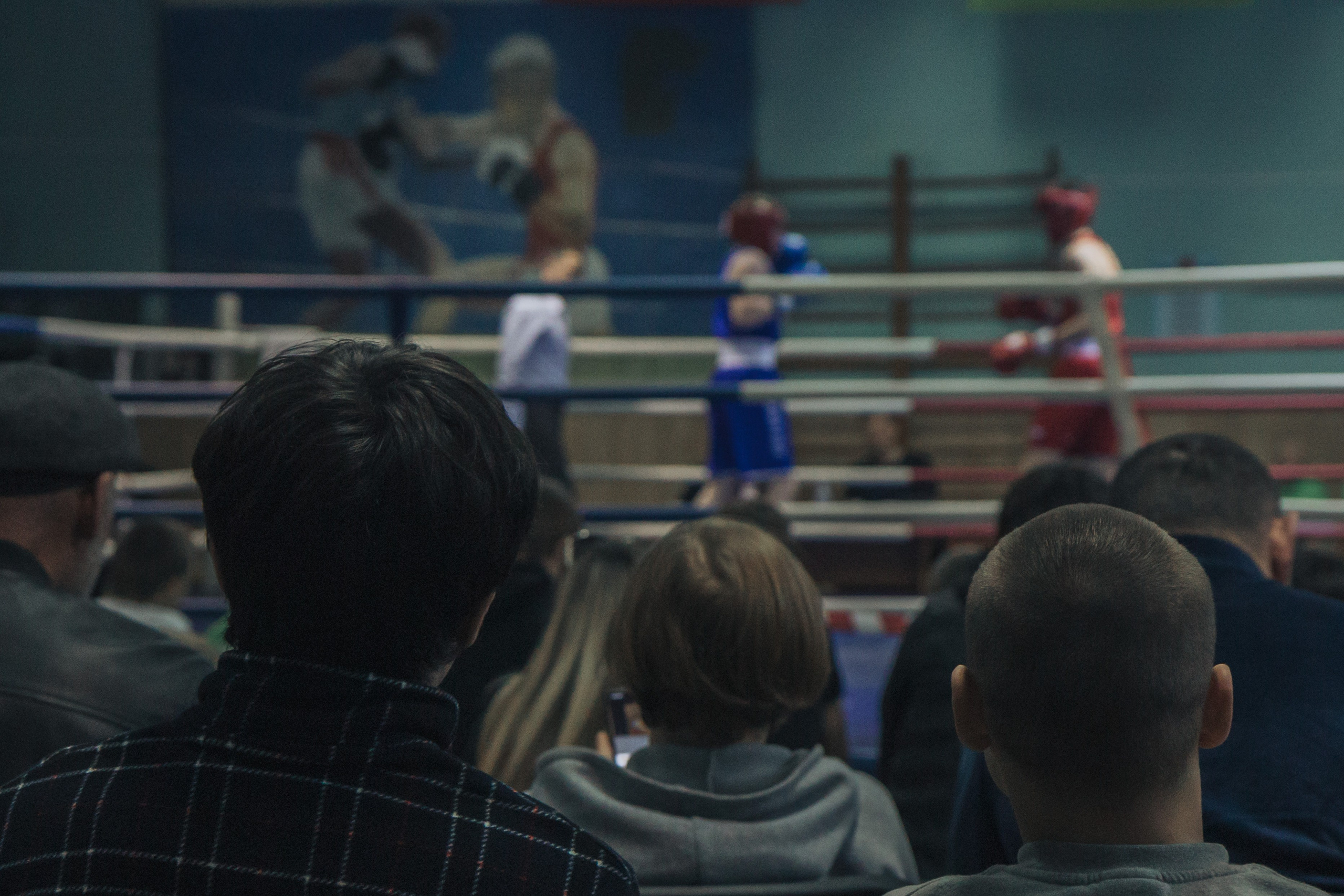 Бокс — РЗН — 26.04.2025. Фотограф в Рязани — Кузнецов Михаил