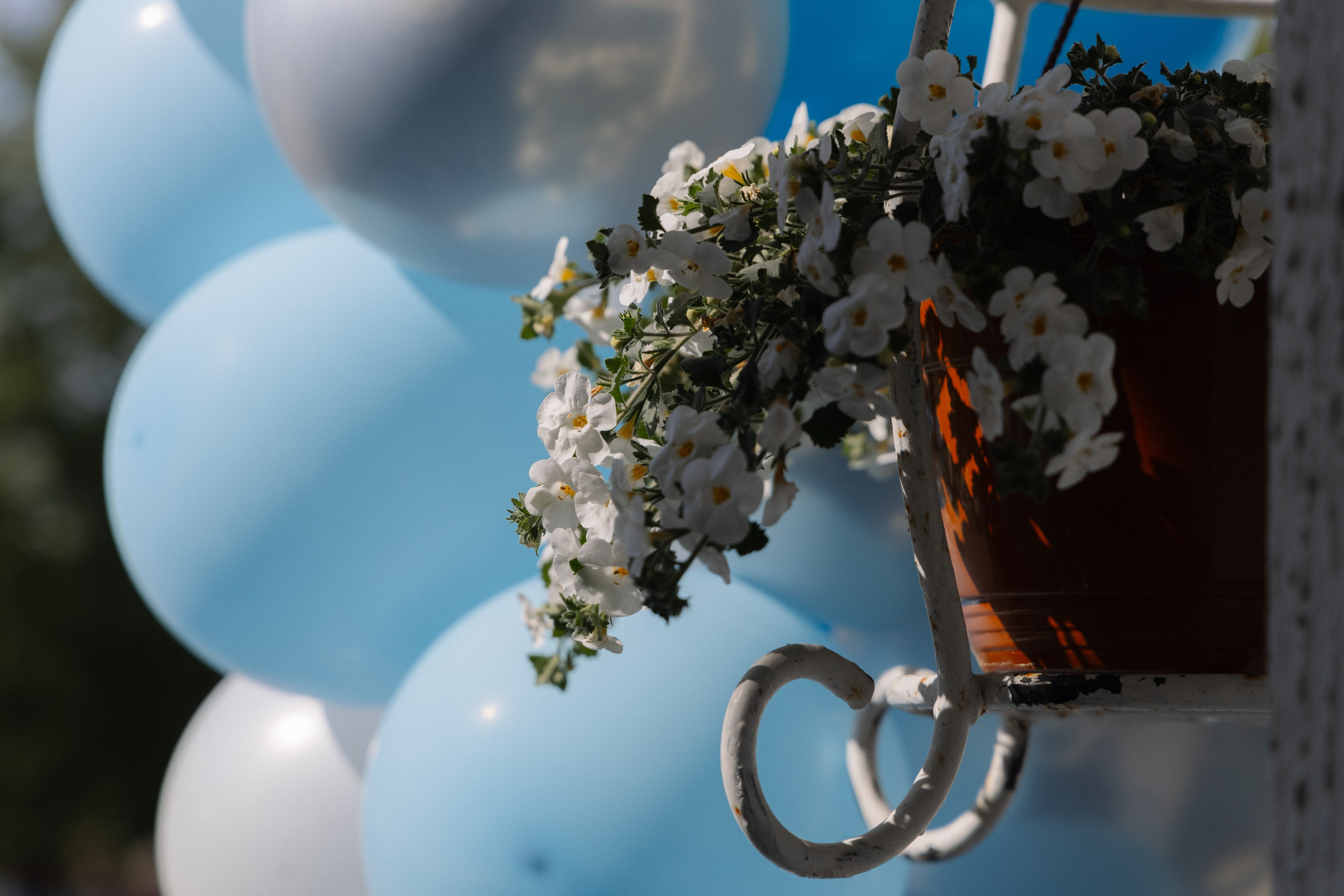 Последний звонок 2024. Свадебный фотограф в Минске/Беларуси Сергей Спиридонов