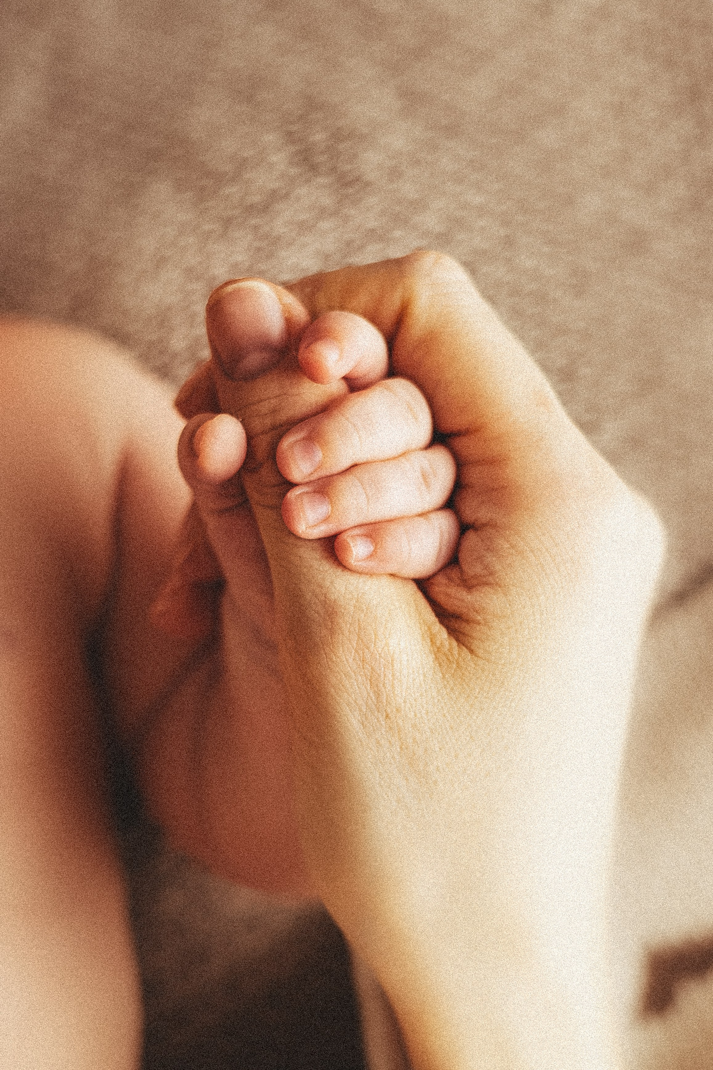 Мишель и Николь. Фотограф новорожденных в Санкт-Петербурге Екатерина Иванова