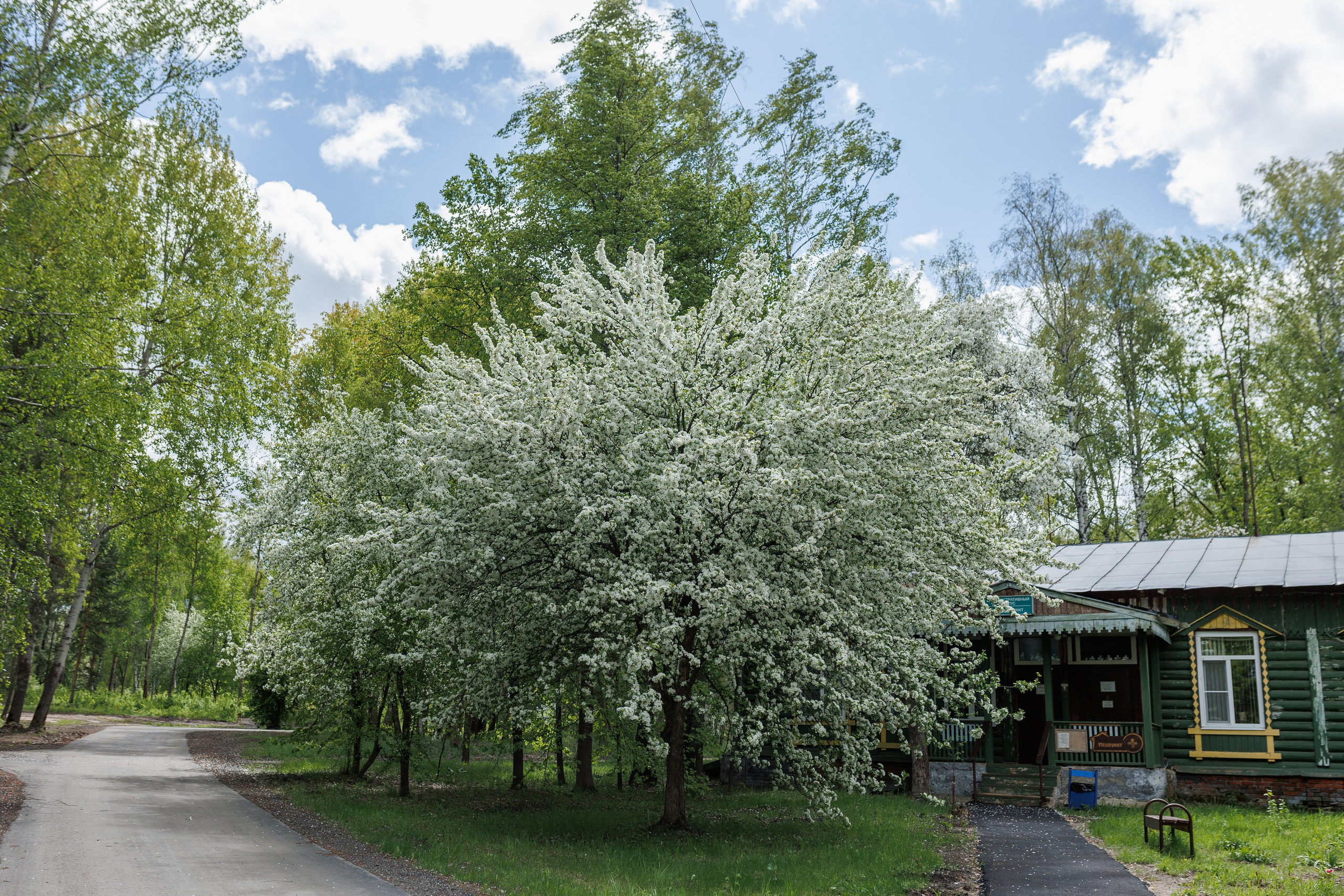 База отдыха «Металлург». Фотограф городских и семейных событий в Нижнем Новгороде Артем Карпухин