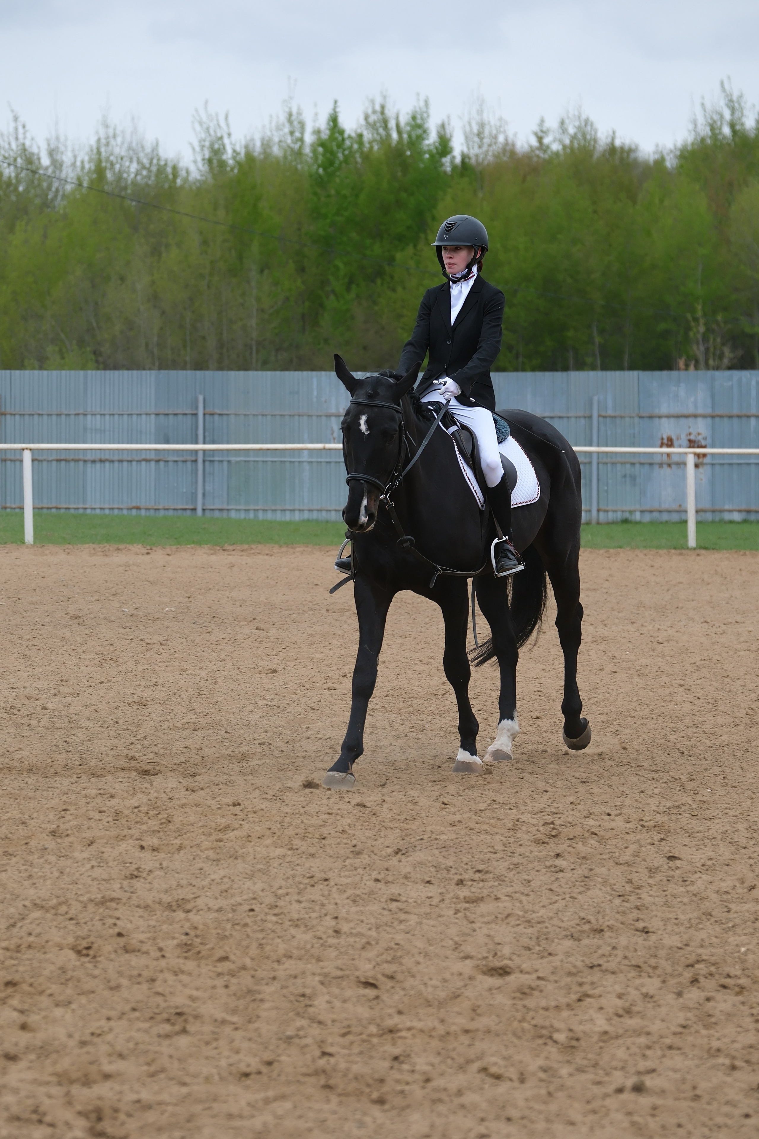 Соревнования по конному спорту в КСК «АЛЛЮР»!. Добро пожаловать в студию «Цифровой скульптор»  где искусство встречается с технологиями!