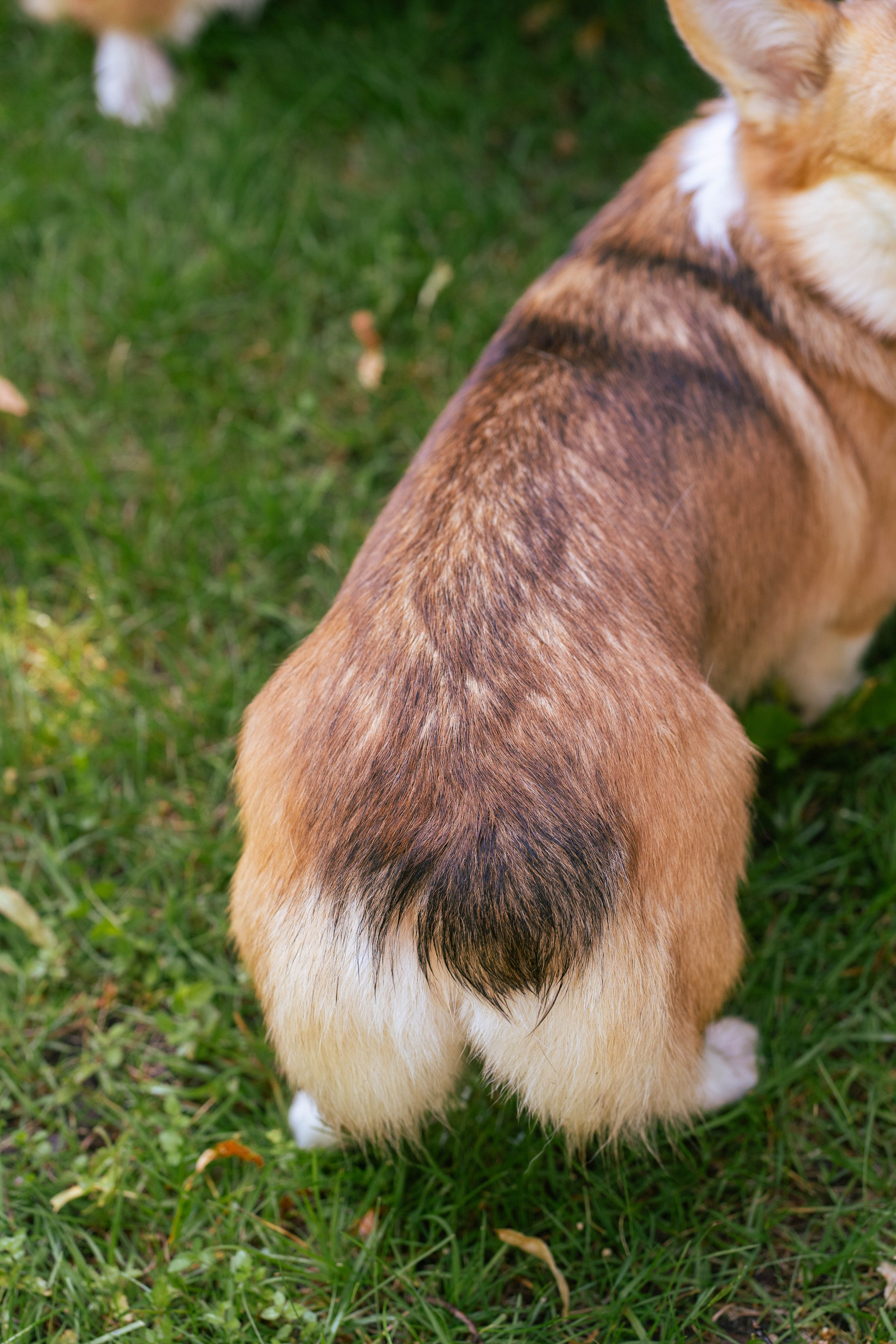Ольга и коржики. Свадебный фотограф в Москве Анна Полушина