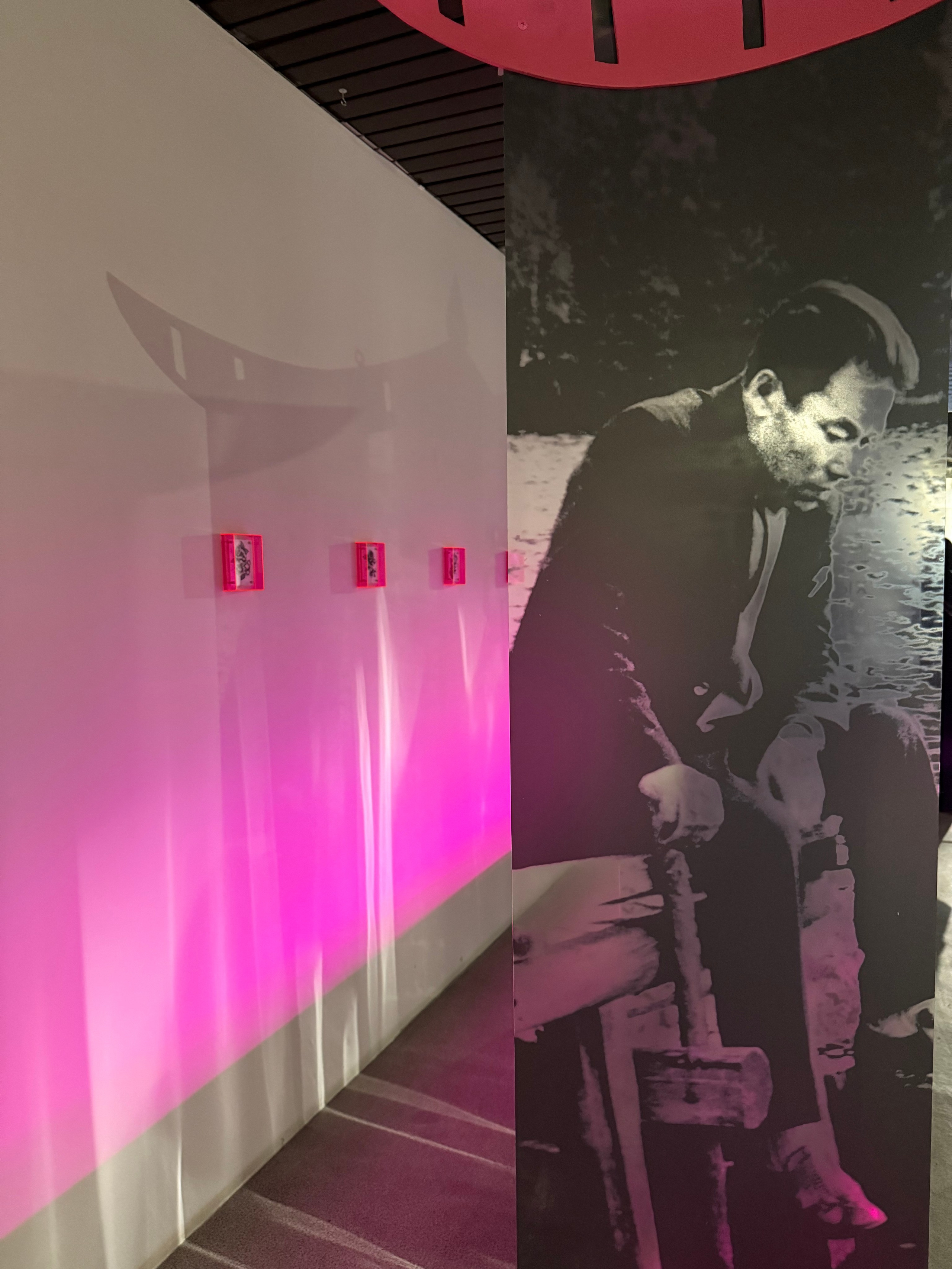 Красноярская музейная биеннале. Artist Anna Snegina Художница Анна Снегина