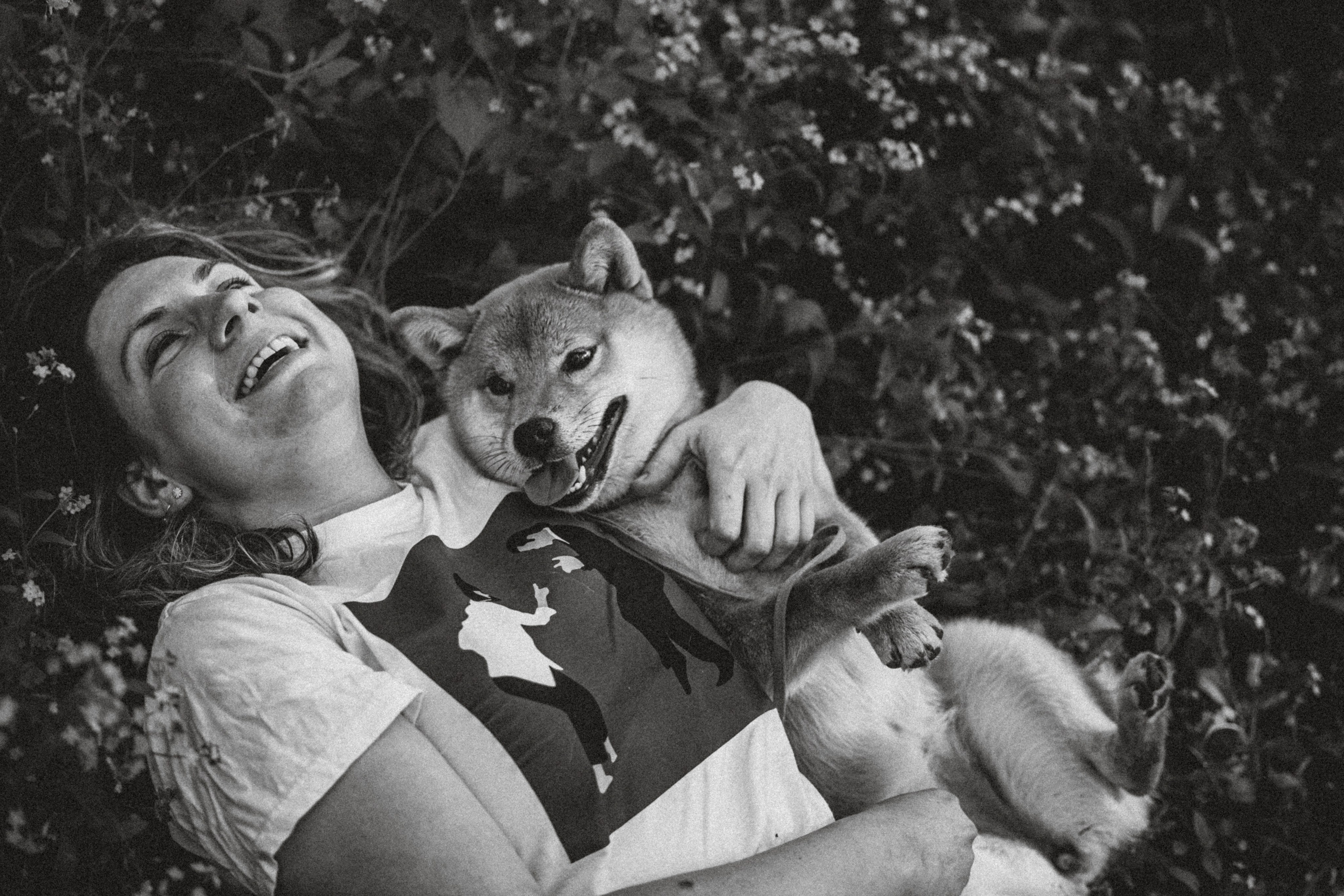 Шед, Цири, Чиби, Цера и их семья