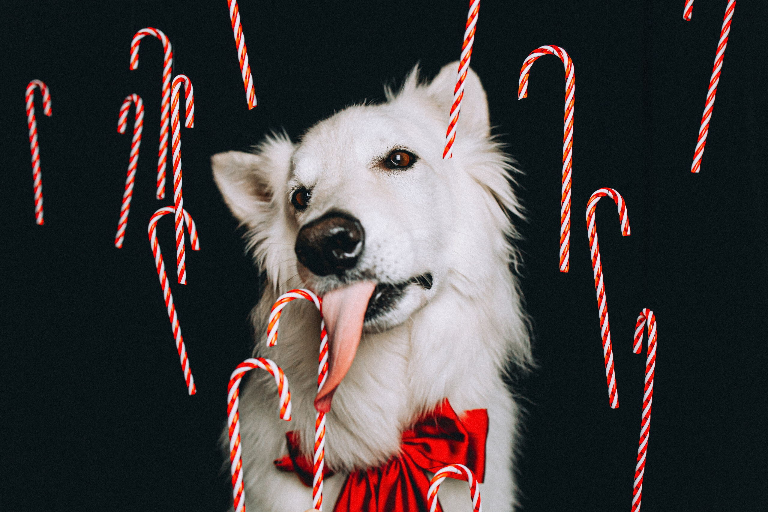 Джек, Бет и Кову