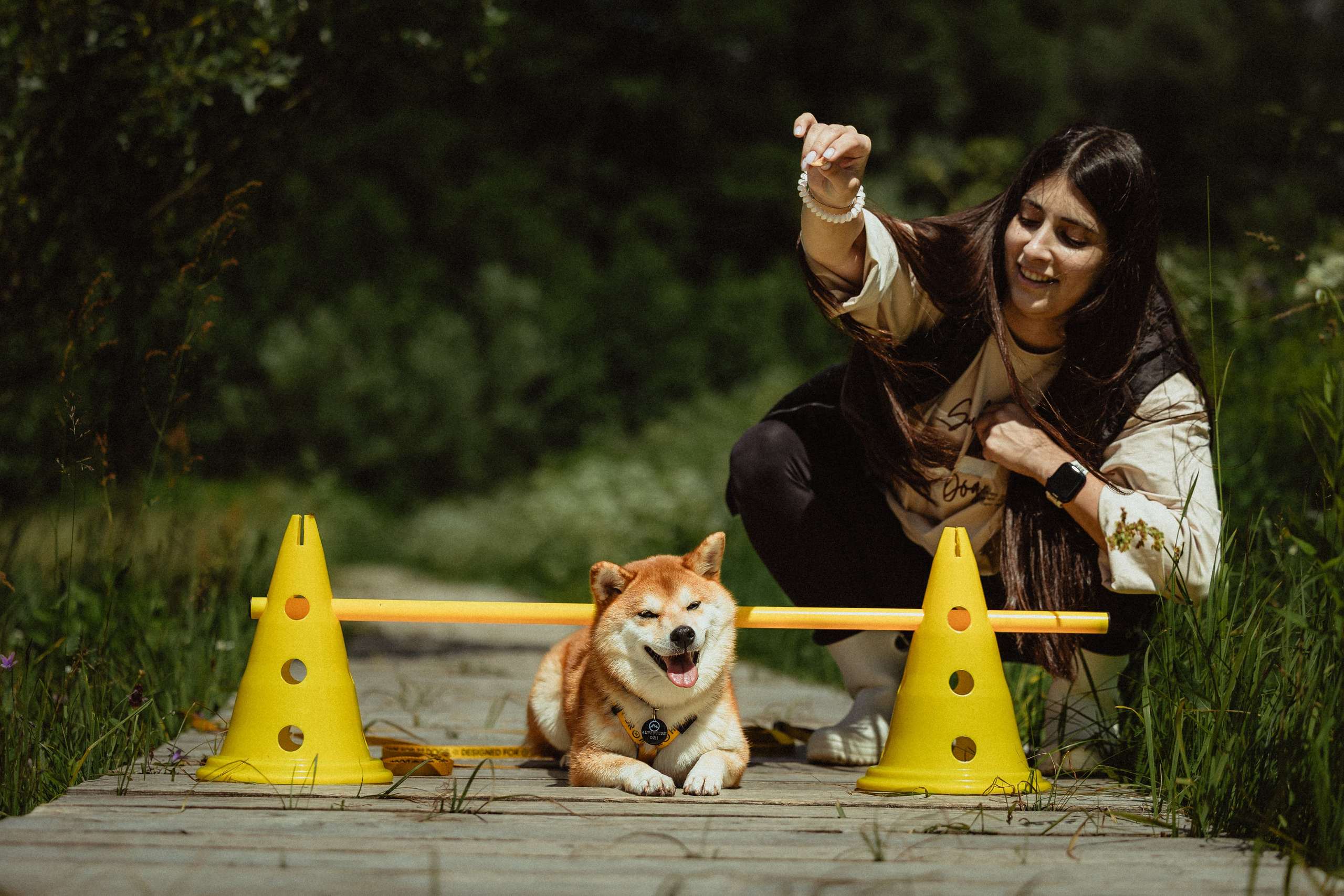 Выездной дог-тренинг от школы «Шерсть имею»