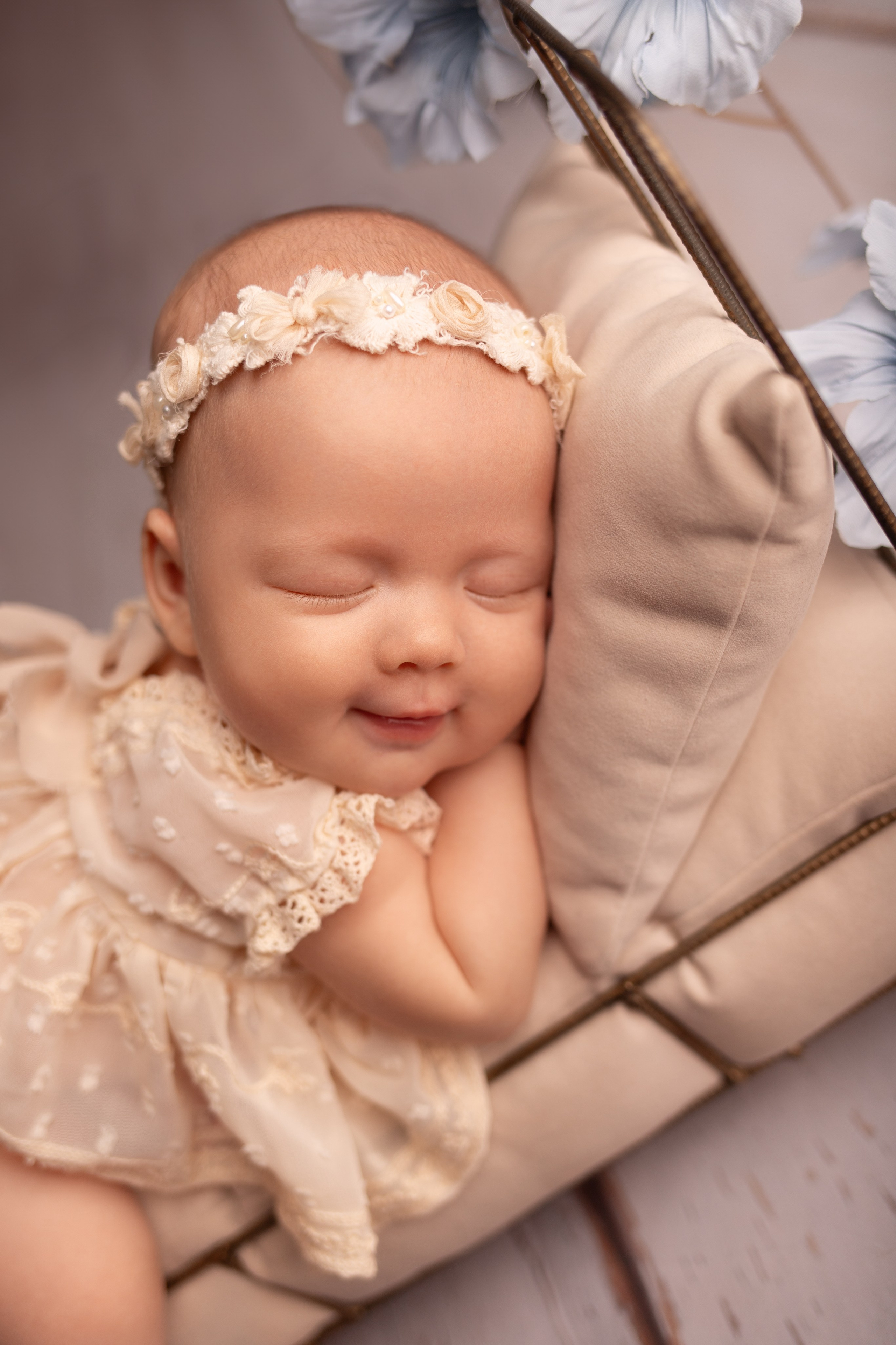 Каталог. Фотограф новорождённых Волгоград Волжский Дарья Рыскаль