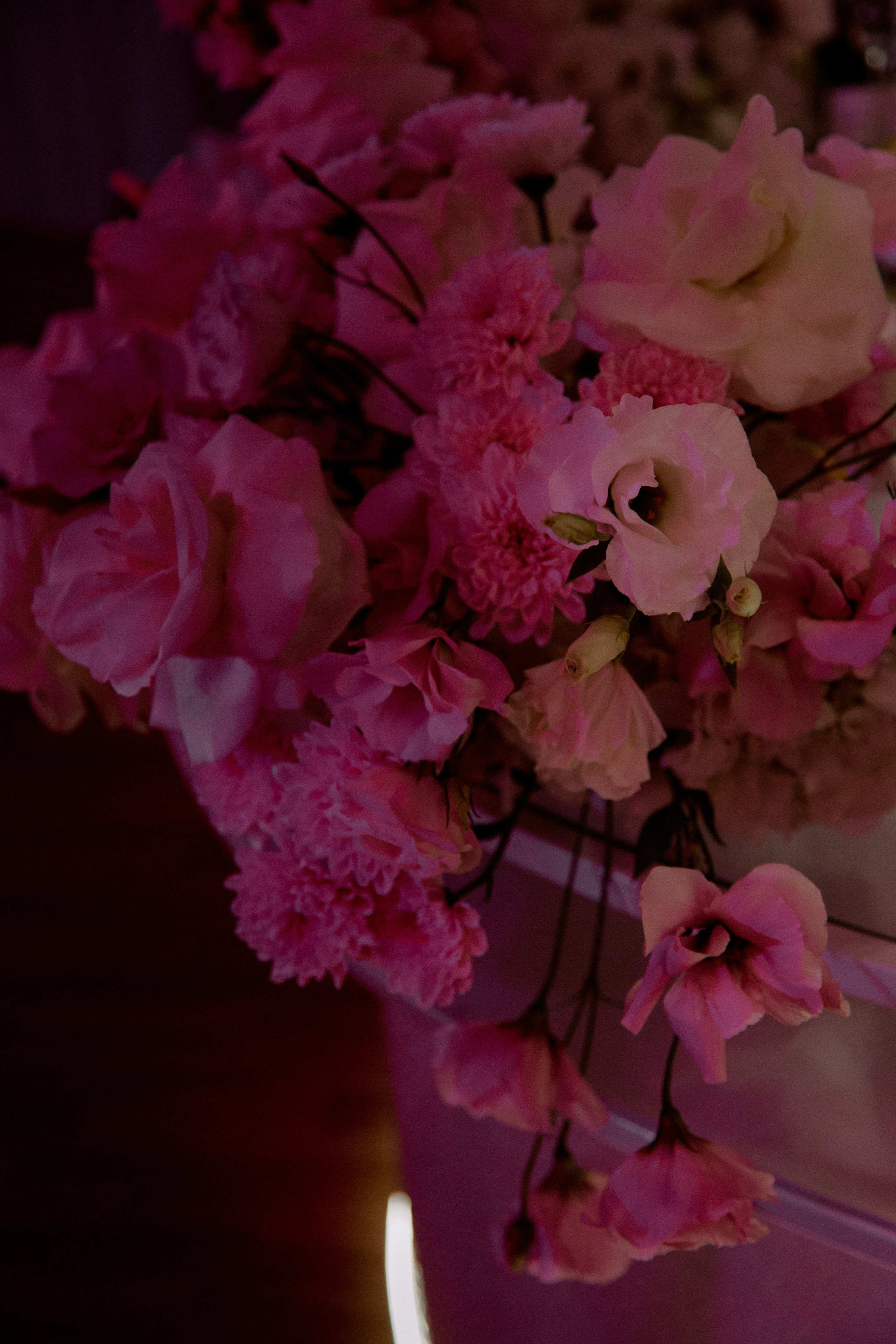 Буду рядом. Фотограф Елена Краснопевцева