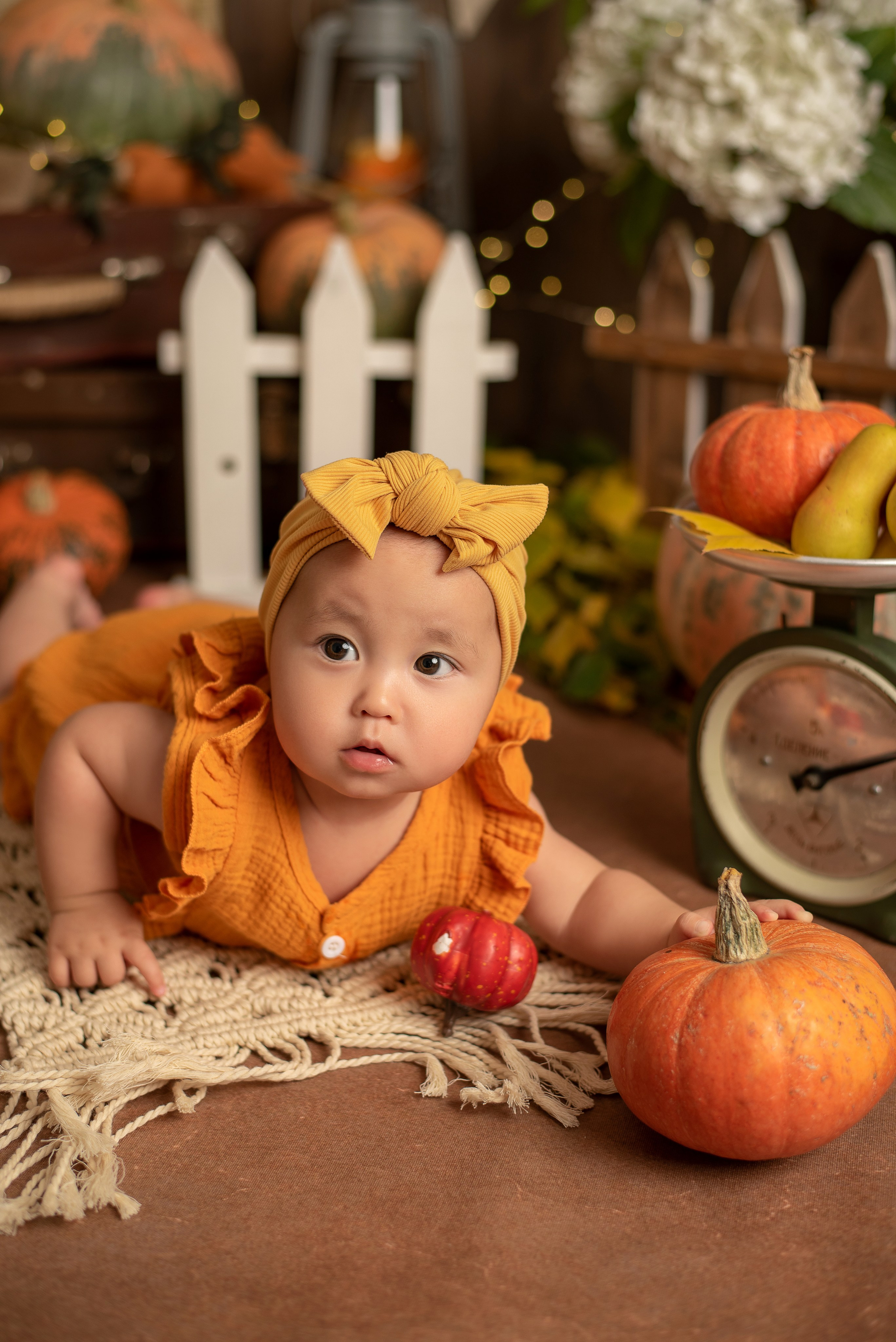 Евочка- ФП «Оранжевые Тыковки». Семейный и детский фотограф Наталья Горда