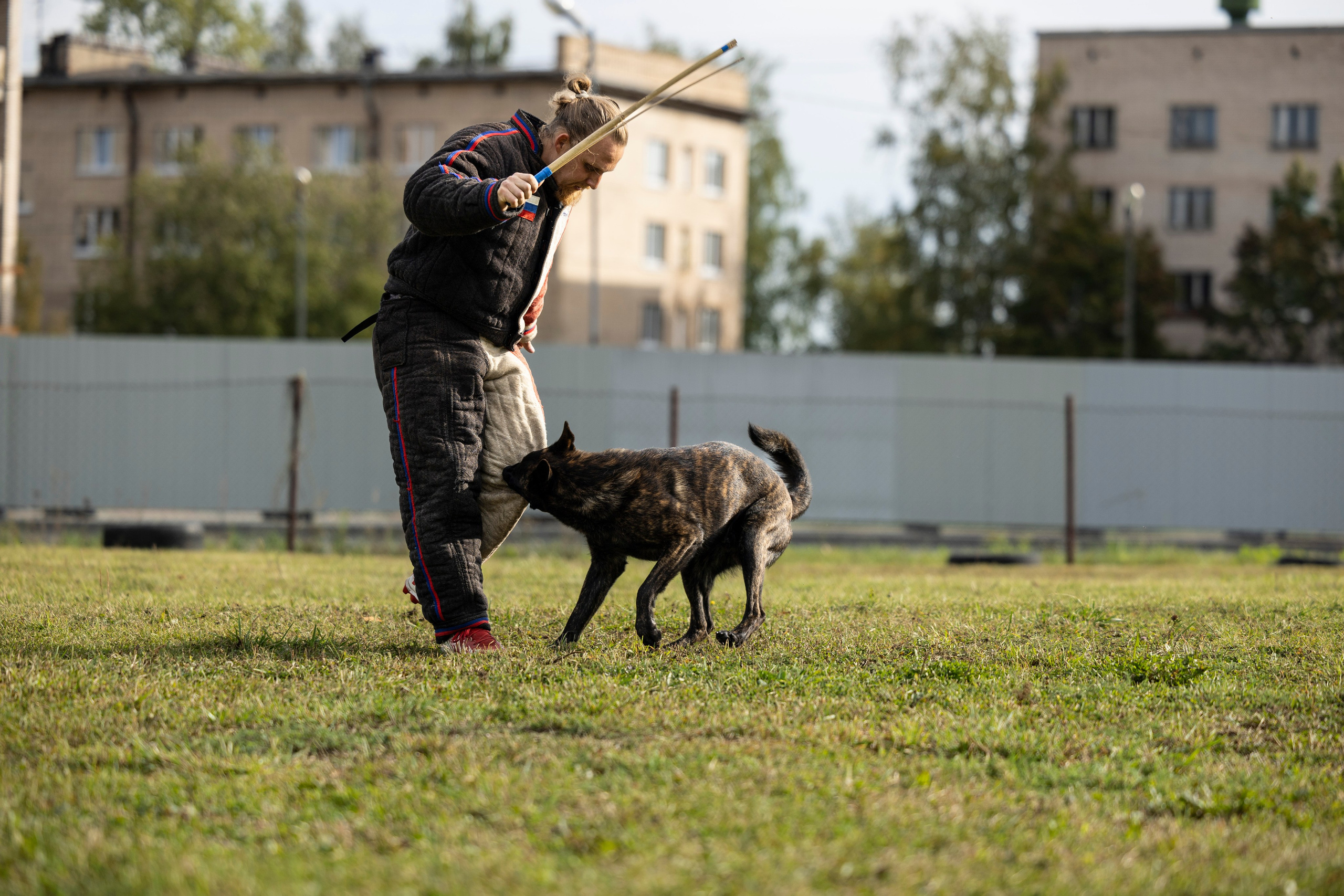 Испытания по Мондьорингу г. Пушкин. Фотограф-анималист Анна Маринич