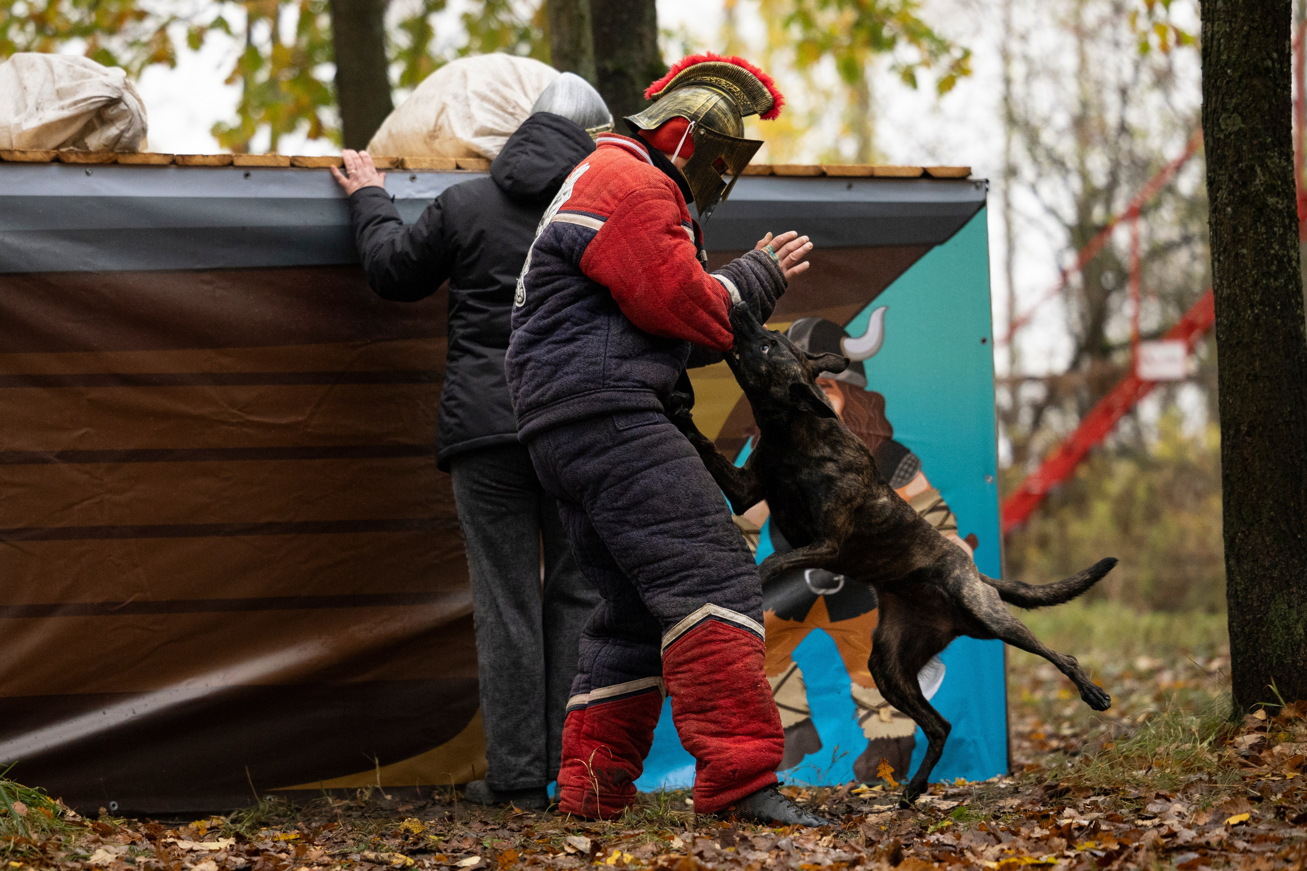 Соревнования по Мондьорингу г. Вологда. Фотограф-анималист Анна Маринич