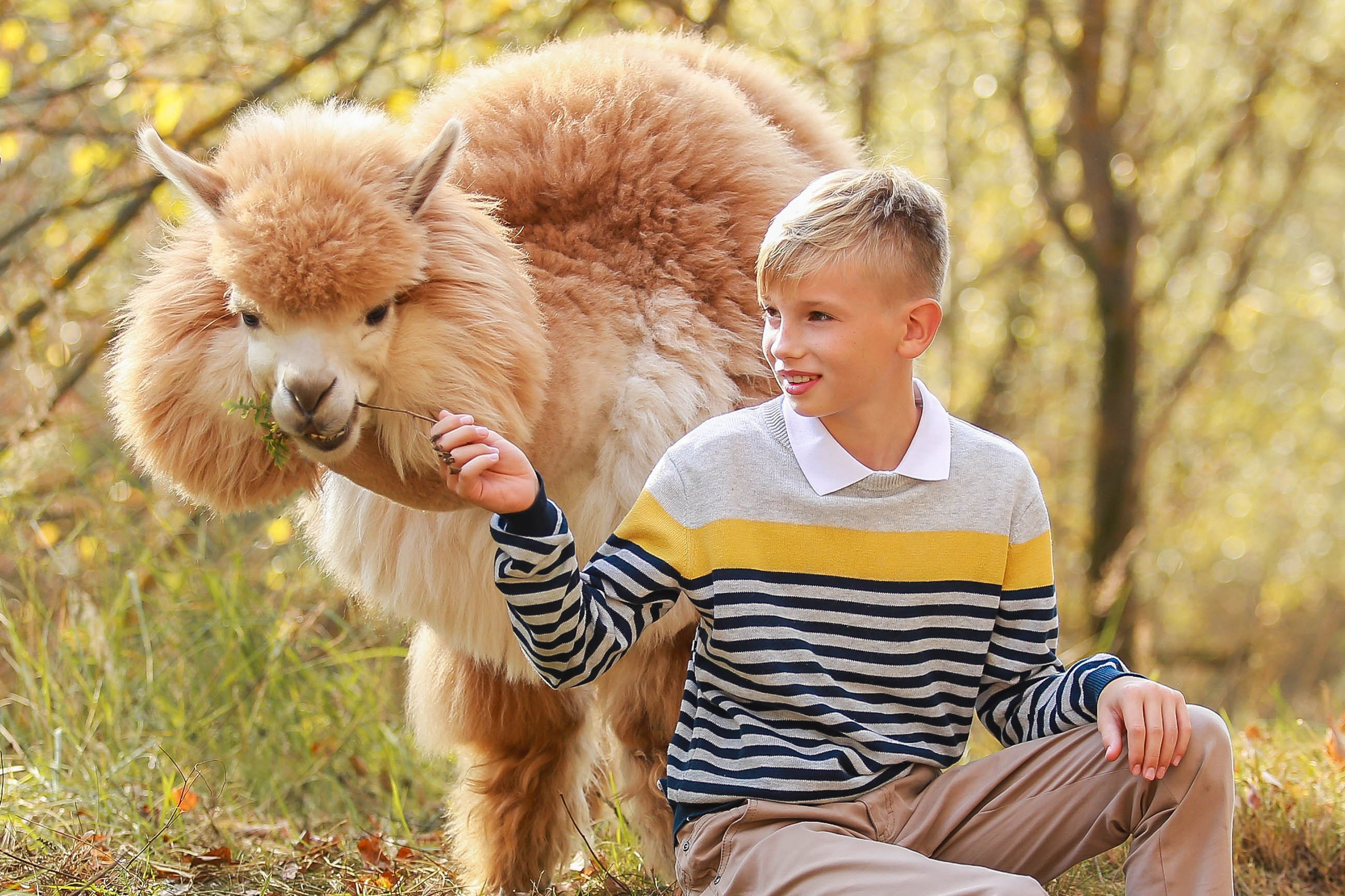 Фотосессии с альпакой Мартином и ламой Микси. Семейный и детский фотограф в Москве Мария Быкова