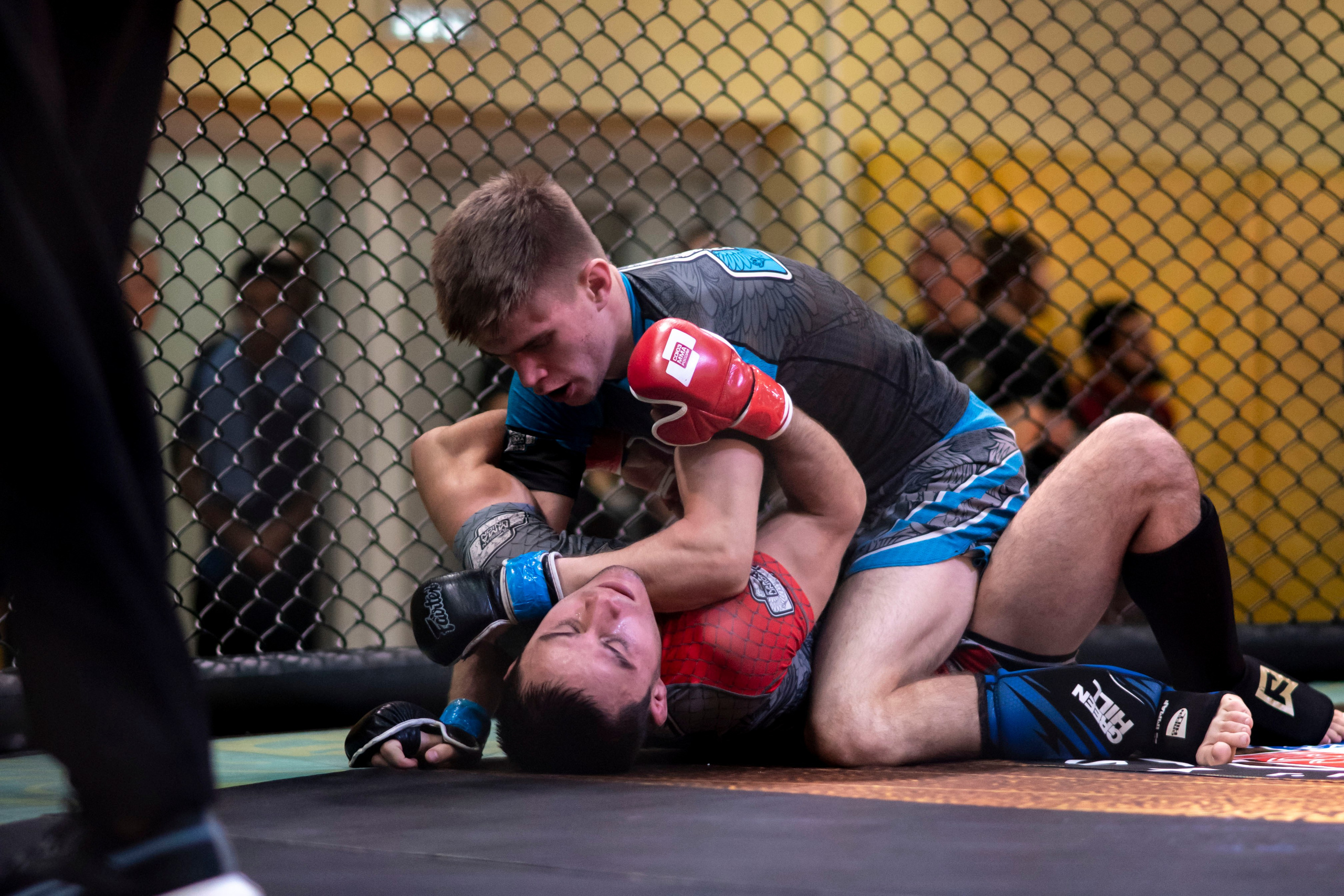 Всероссийский турнир ММА. Новомосковск, ноябрь 2025. Спортивный фотограф в Туле и Тульской области. Файсханова Фото Спорт