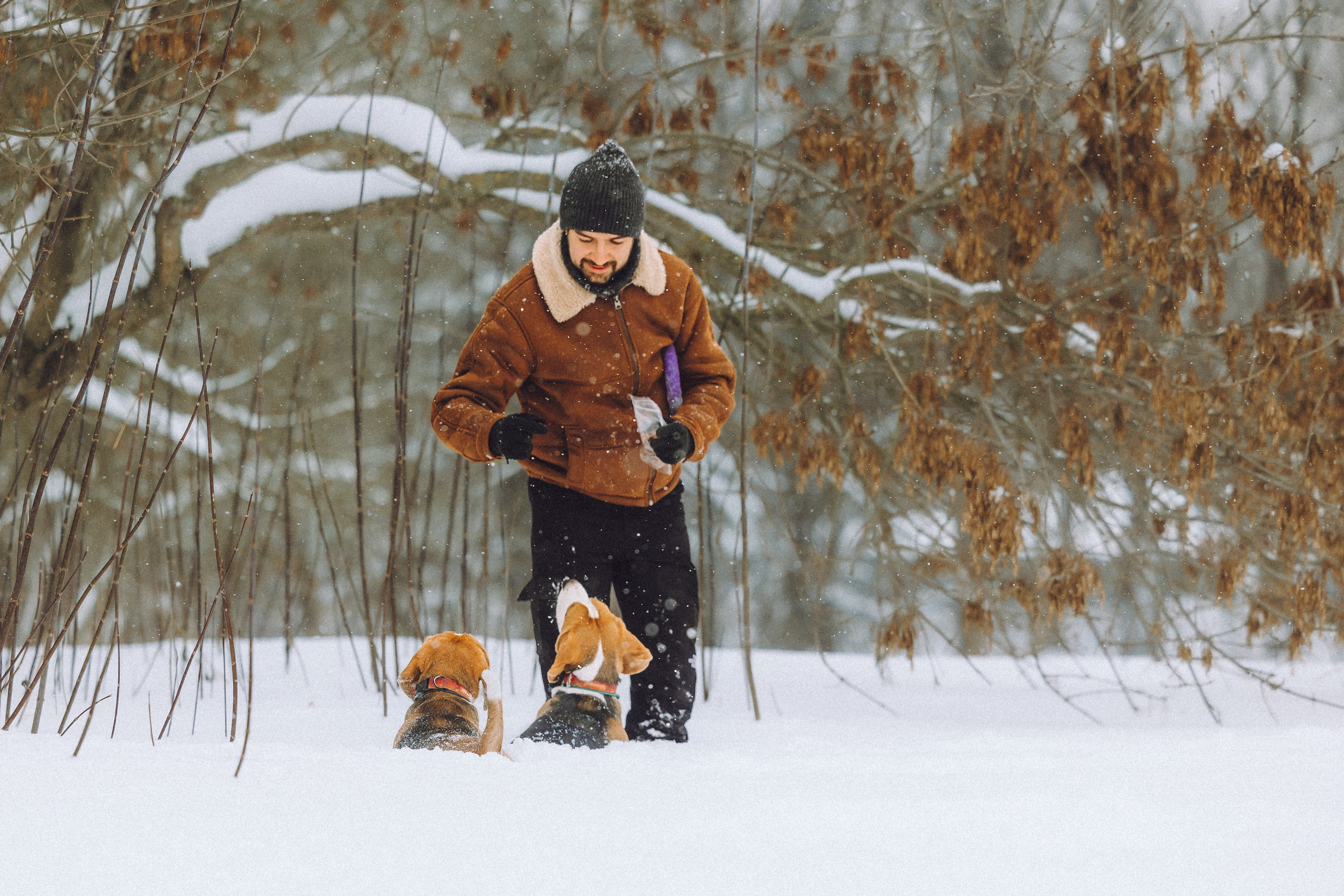 Роман, Портер и Коррес