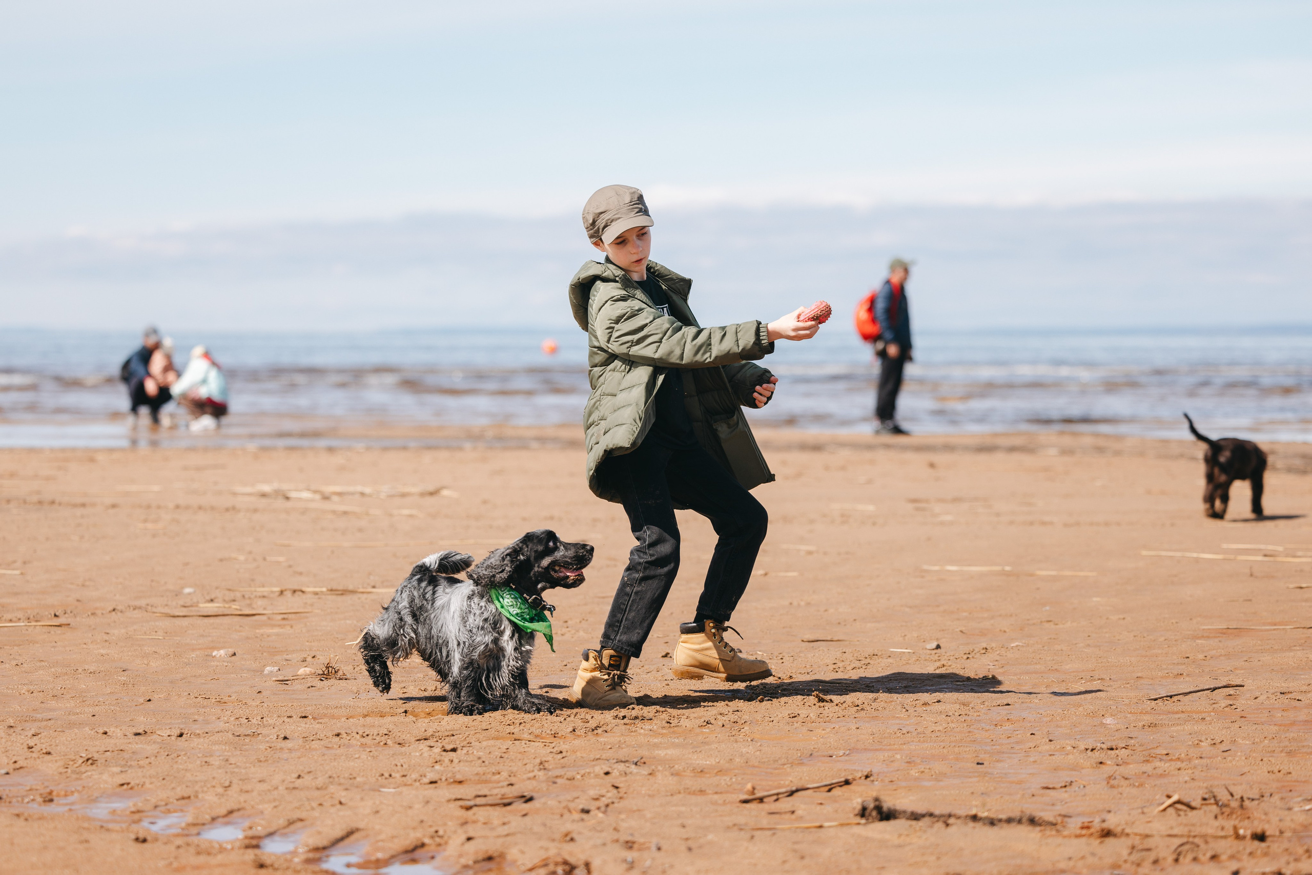 Спанимания. Фотограф анималист Осипчикова Мария