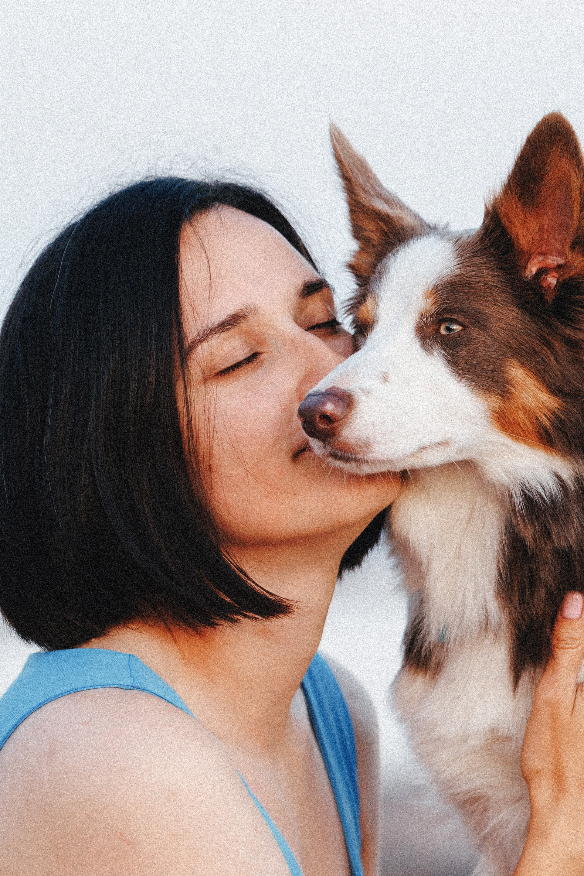 Рита, Маша и много собак. Фотограф анималист Осипчикова Мария