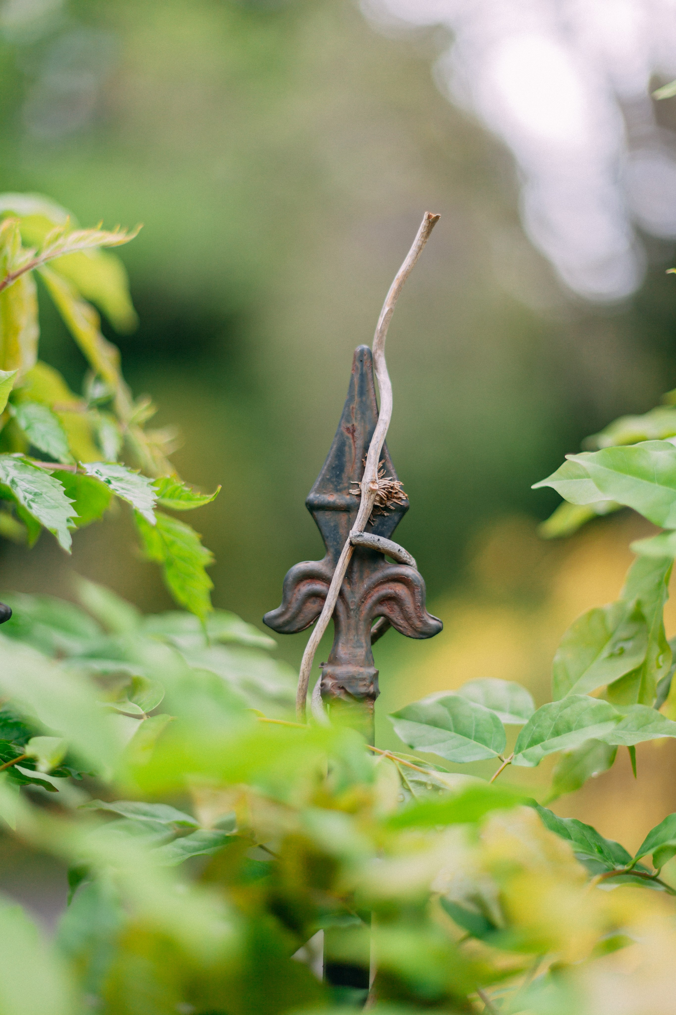 Сочи. Аня Степанова