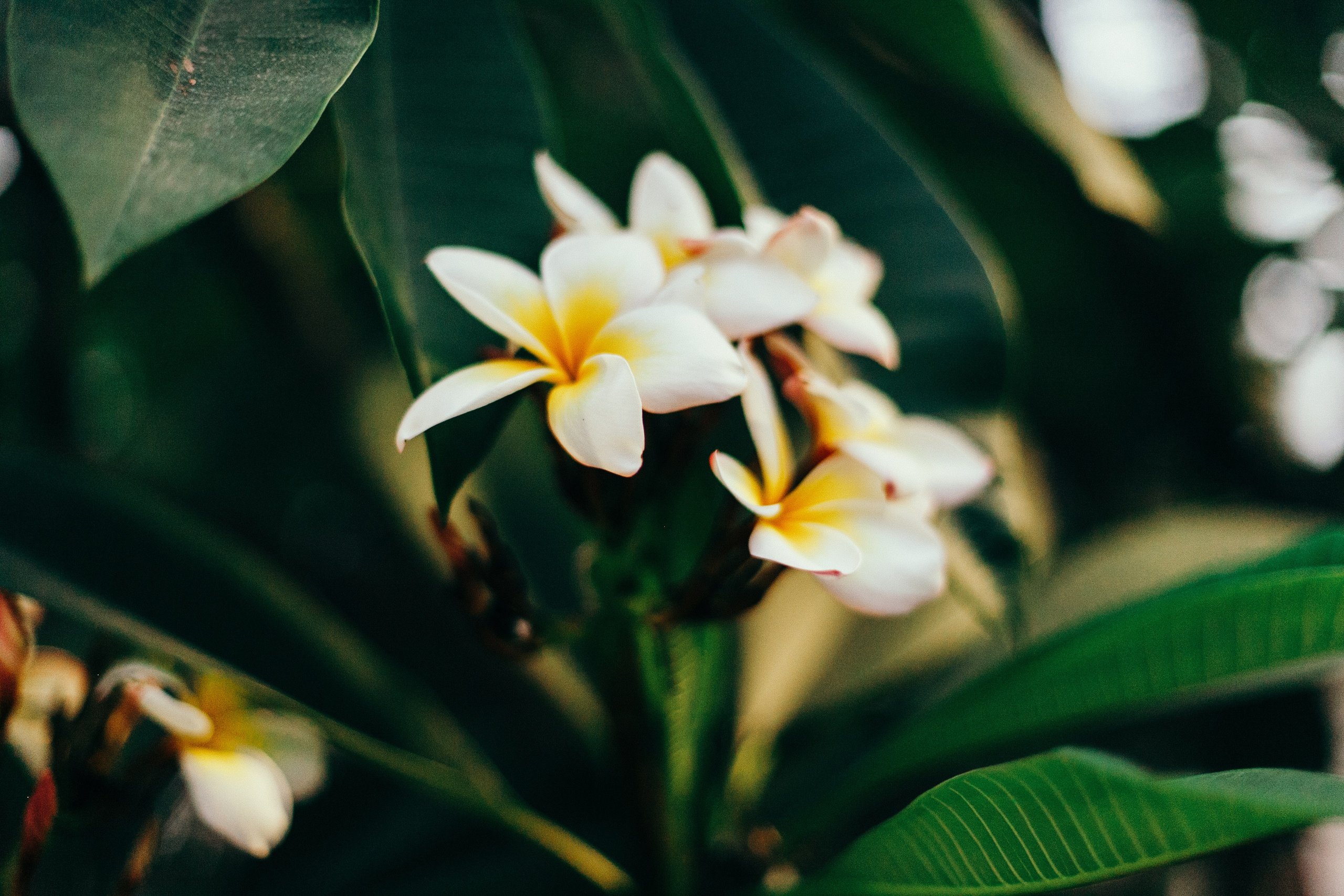 Малага. Аня Степанова