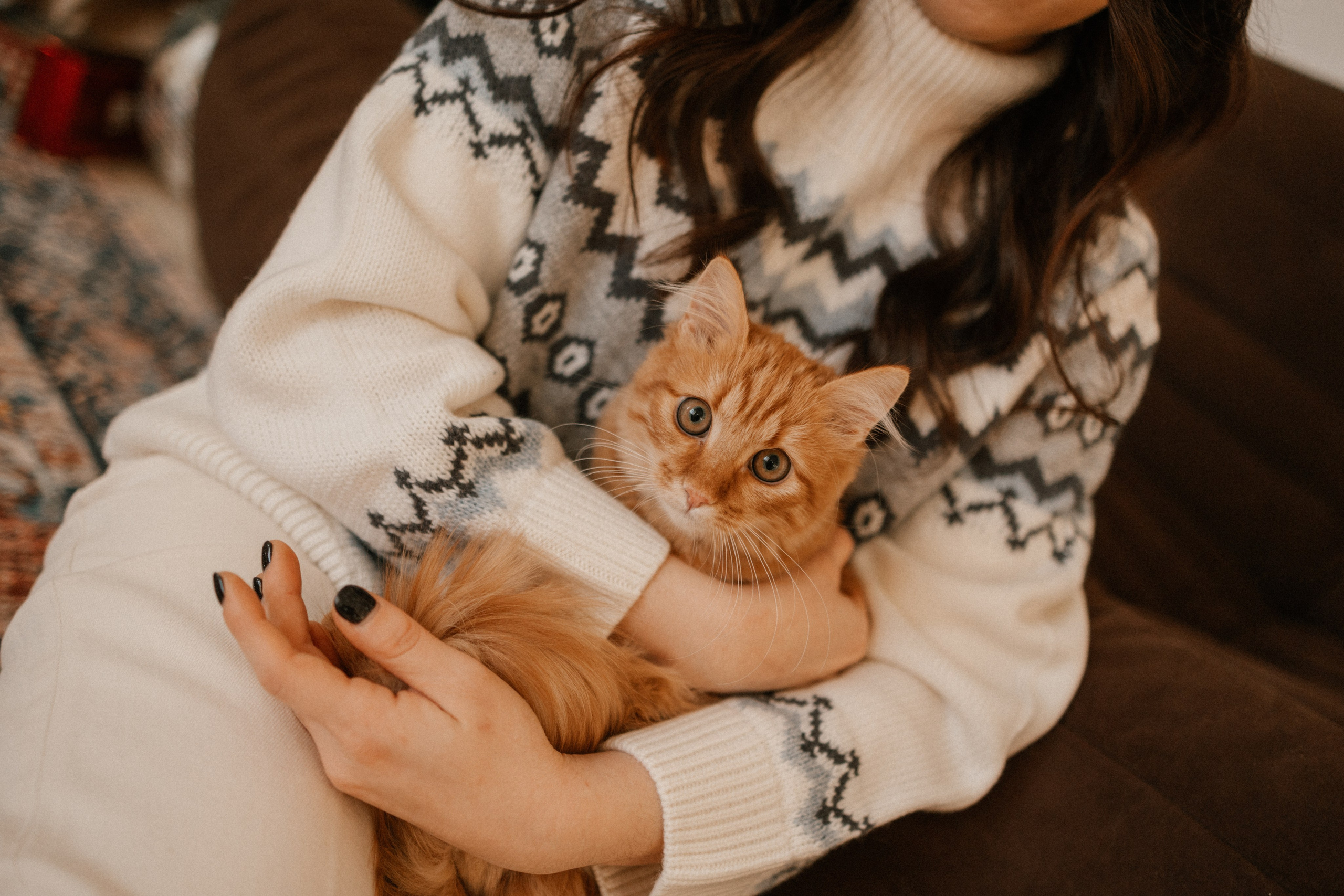 Камилла и ее девочки. Фотограф — Анималист | Санкт-Петербург