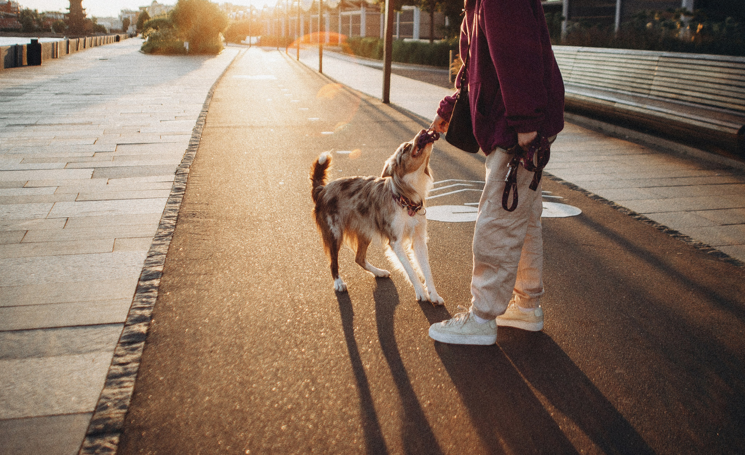 Аня и Дэймон. Фотограф-анималист Богданова Полина
