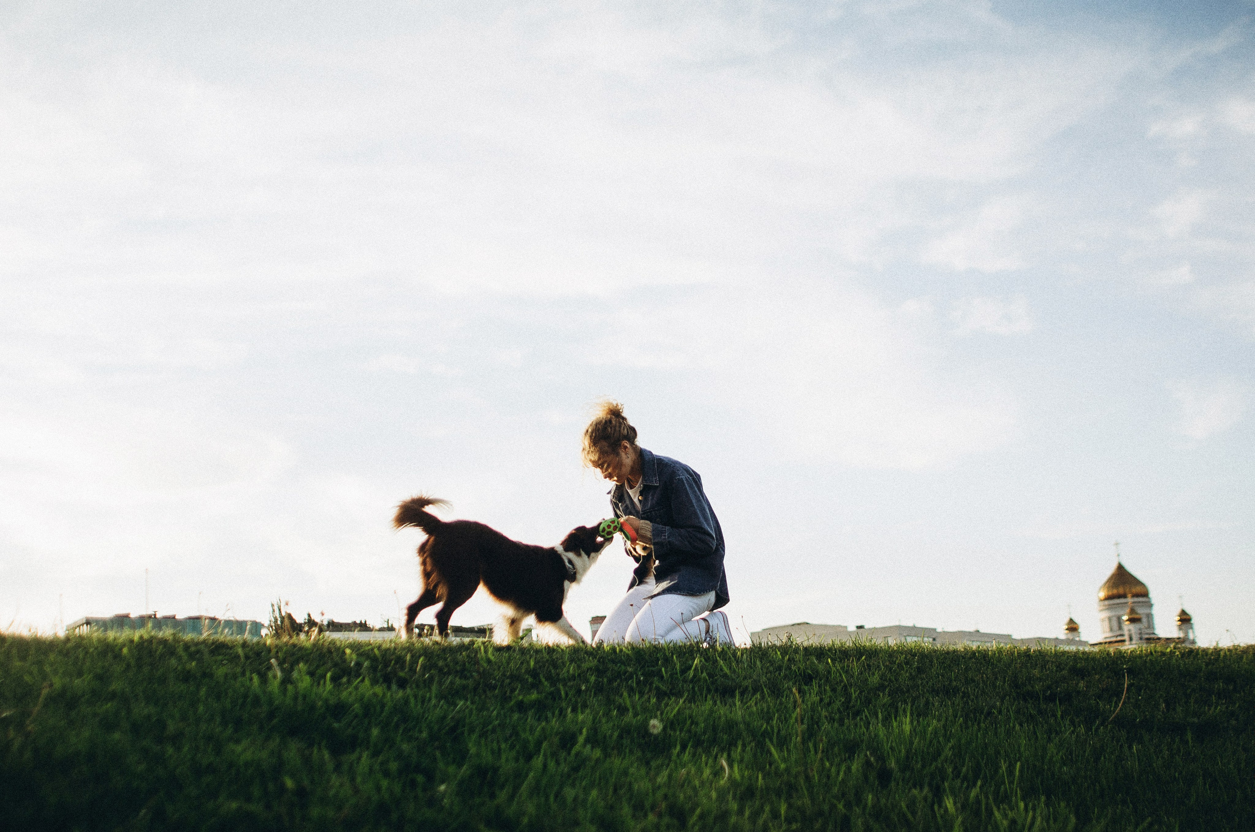 Лиза и Эни. Фотограф-анималист Богданова Полина