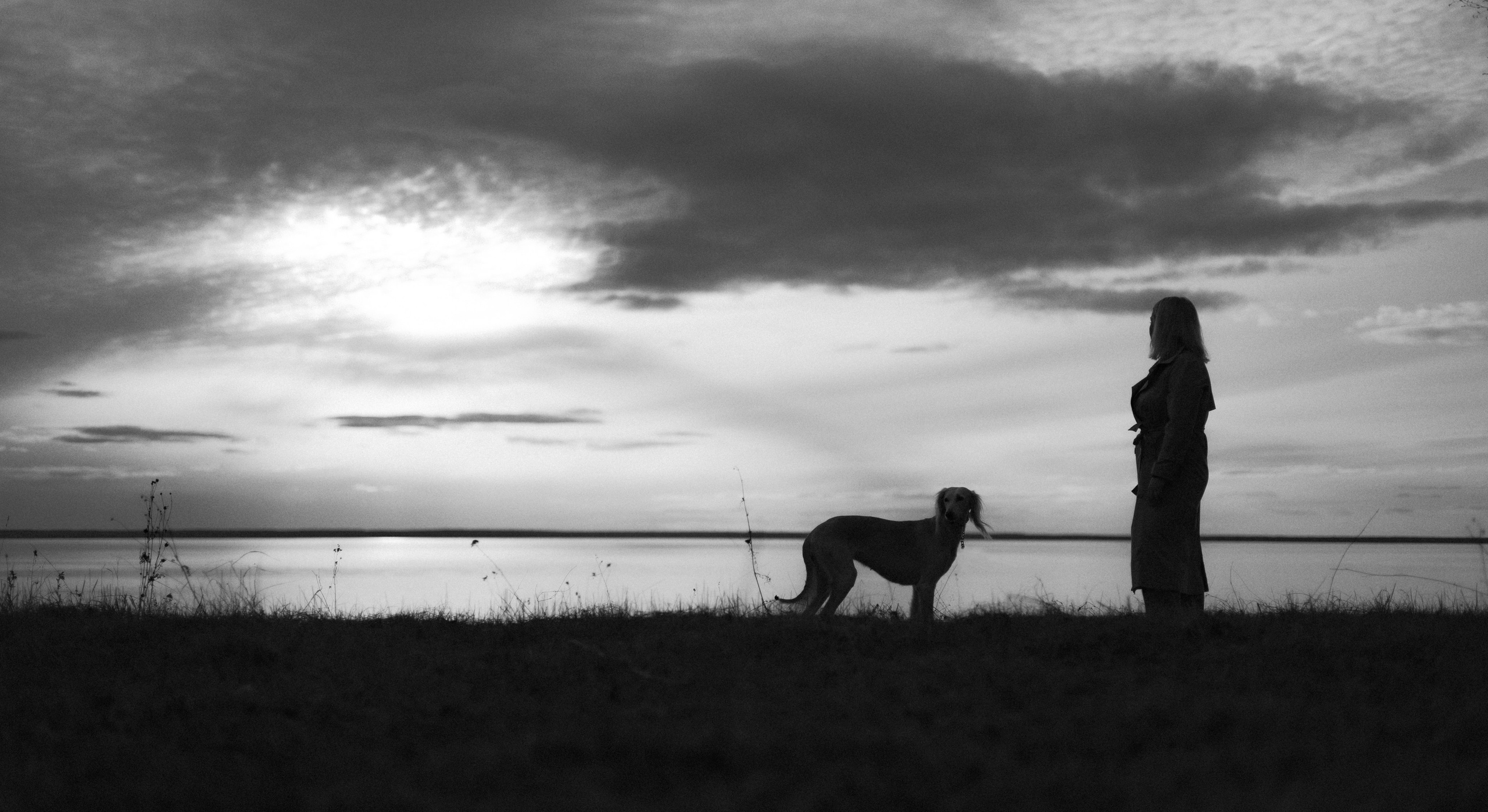 Настя и Бейда. Фотограф-анималист Богданова Полина