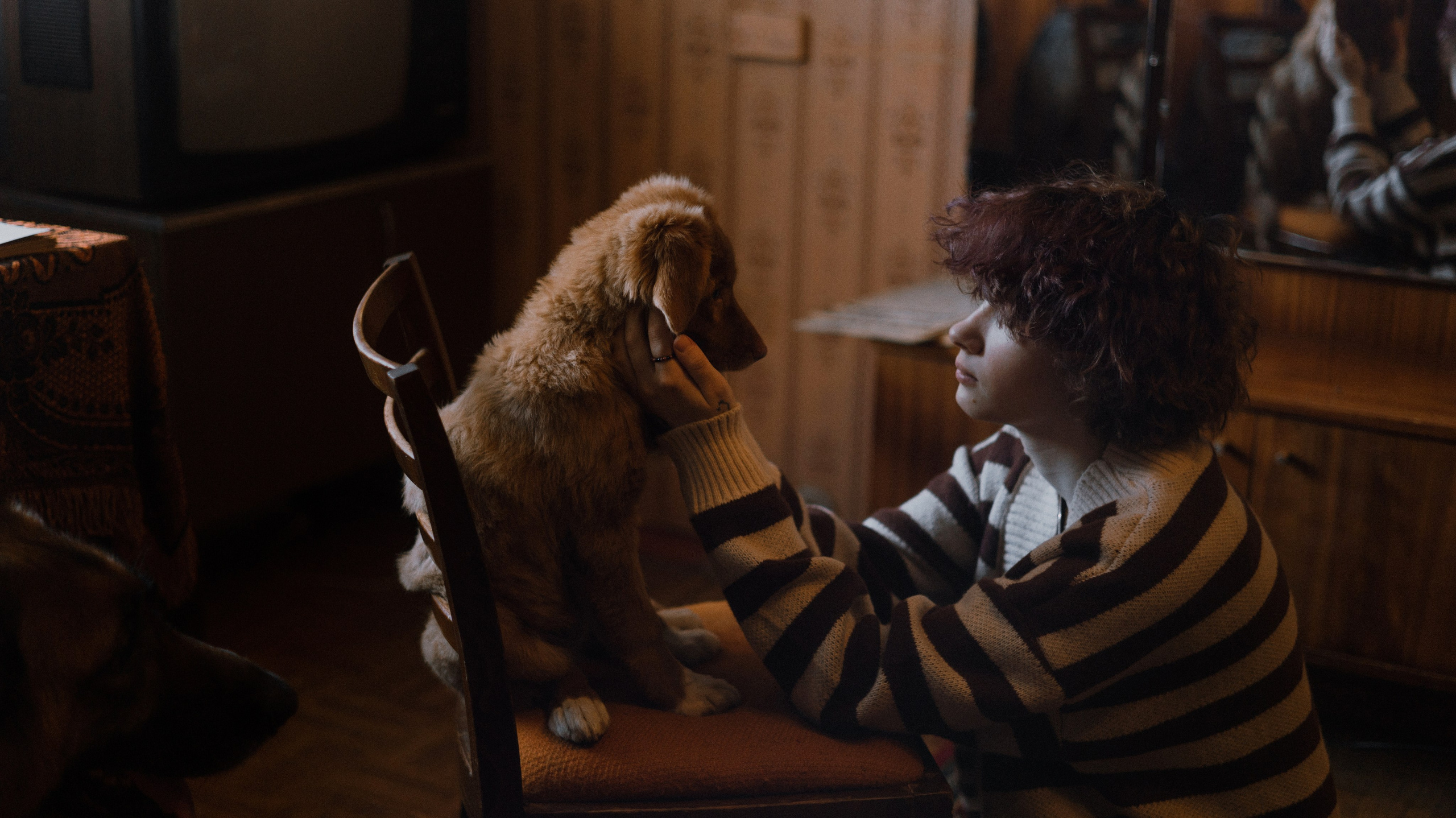 Лера, Реджи и Ральф. Фотограф-анималист Богданова Полина