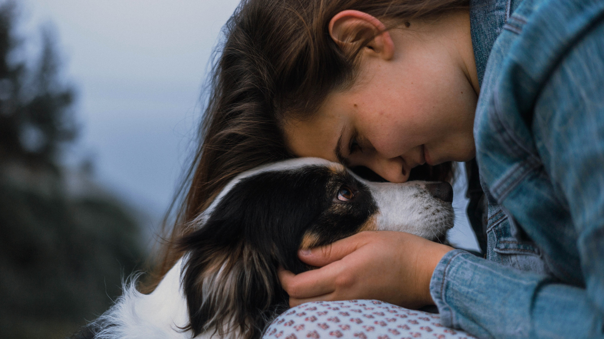 Ира и Джесс. Фотограф-анималист Богданова Полина