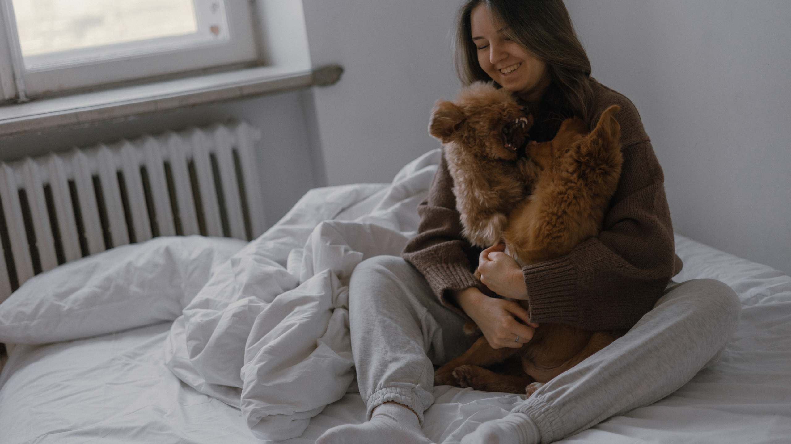 Маша, Одди и Нэвил. Фотограф-анималист Богданова Полина