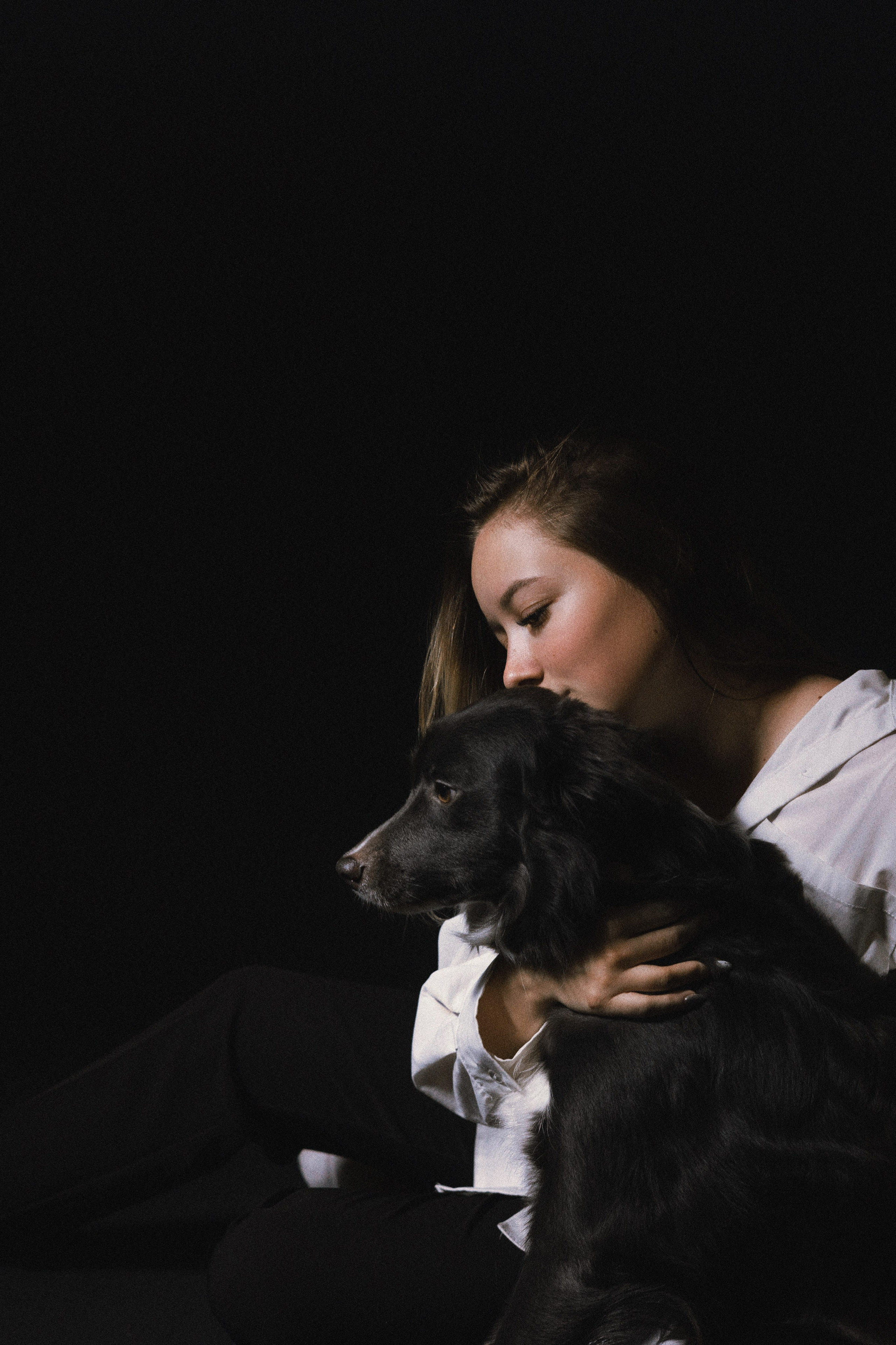 Даша, Дже и Рива. Фотограф-анималист Богданова Полина