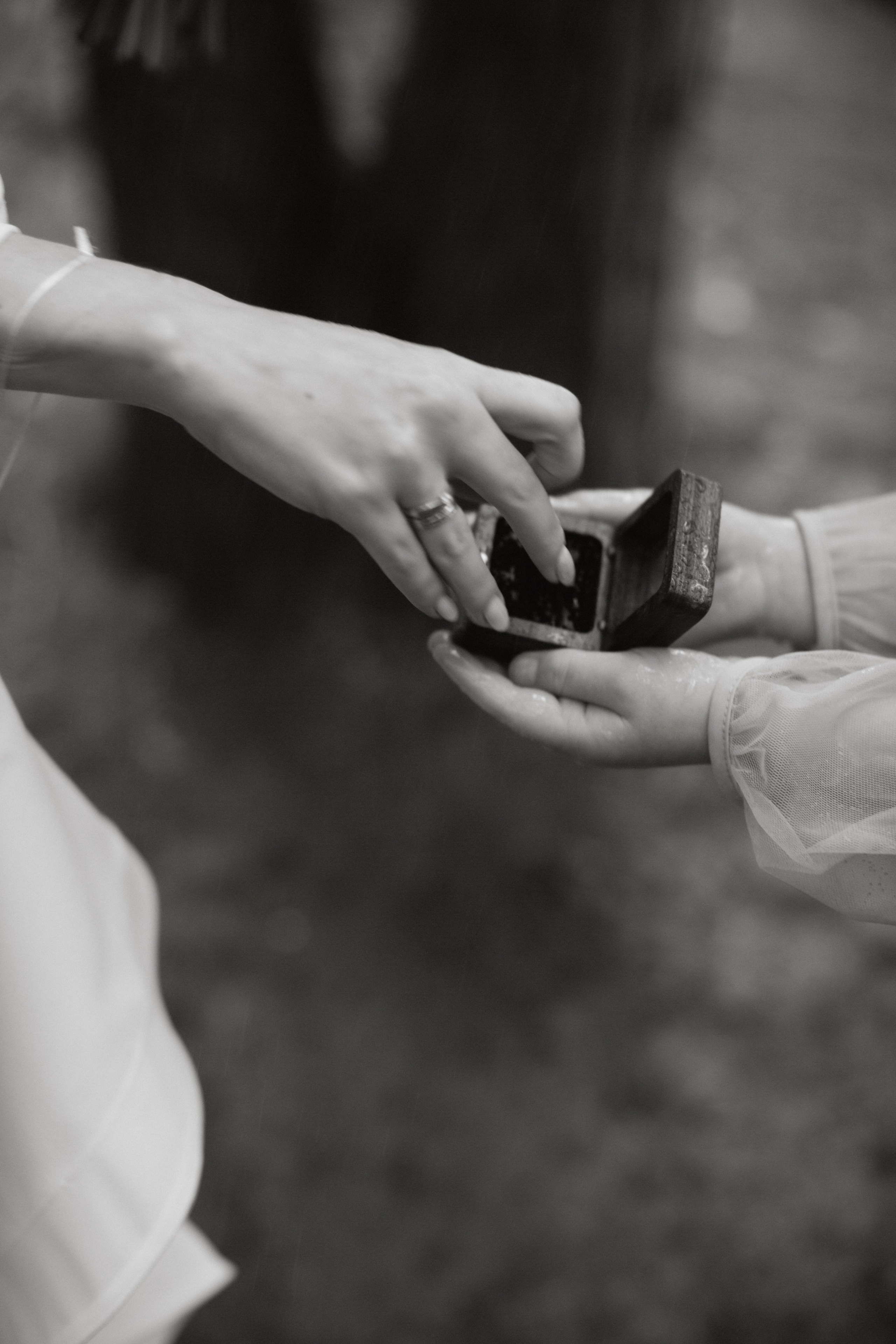 23/07/23. Фотограф НатаФото (Наталья Яковенко) Дмитров Москва Питер