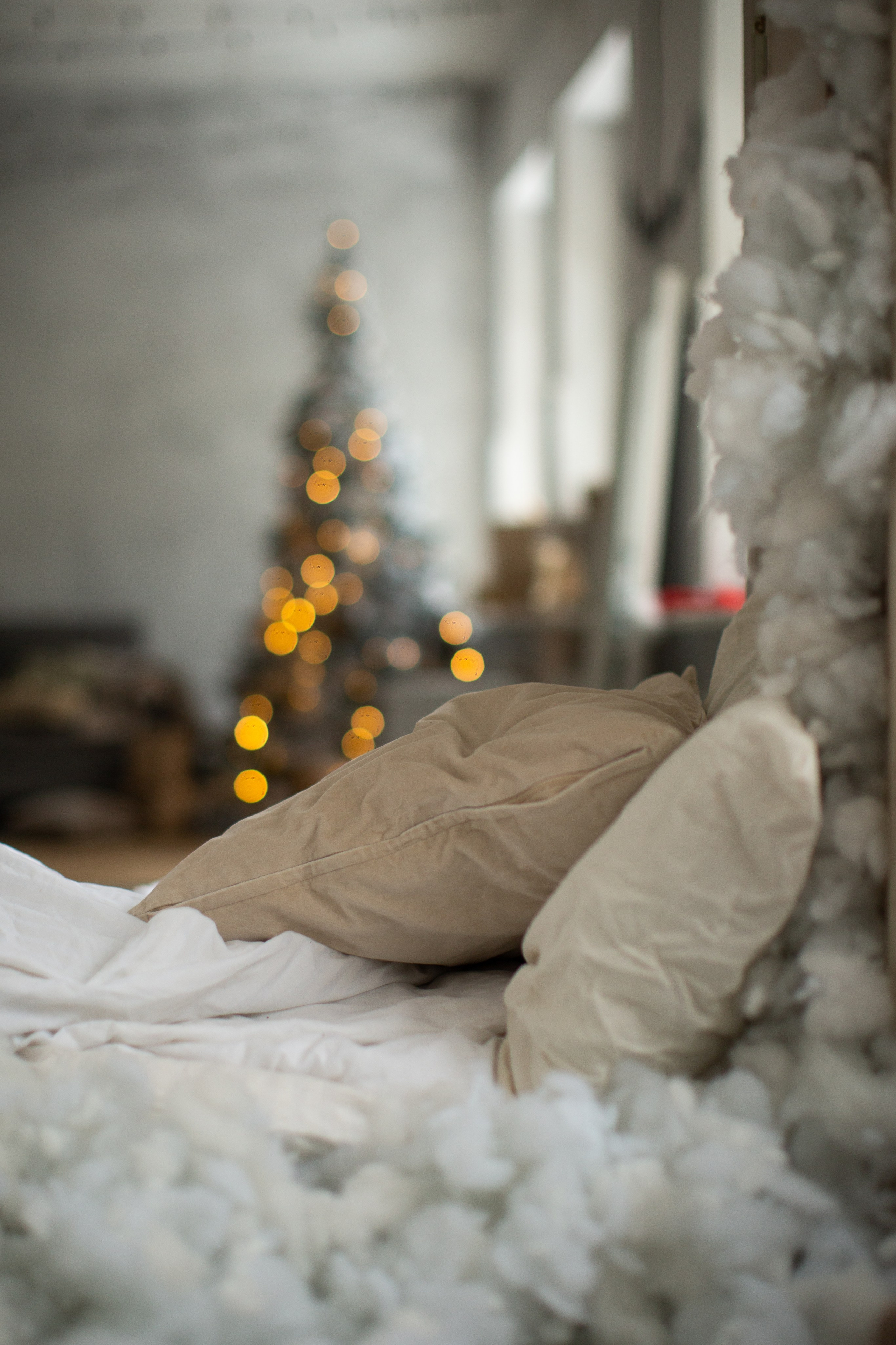 Нг24. Фотограф НатаФото (Наталья Яковенко) Дмитров Москва Питер