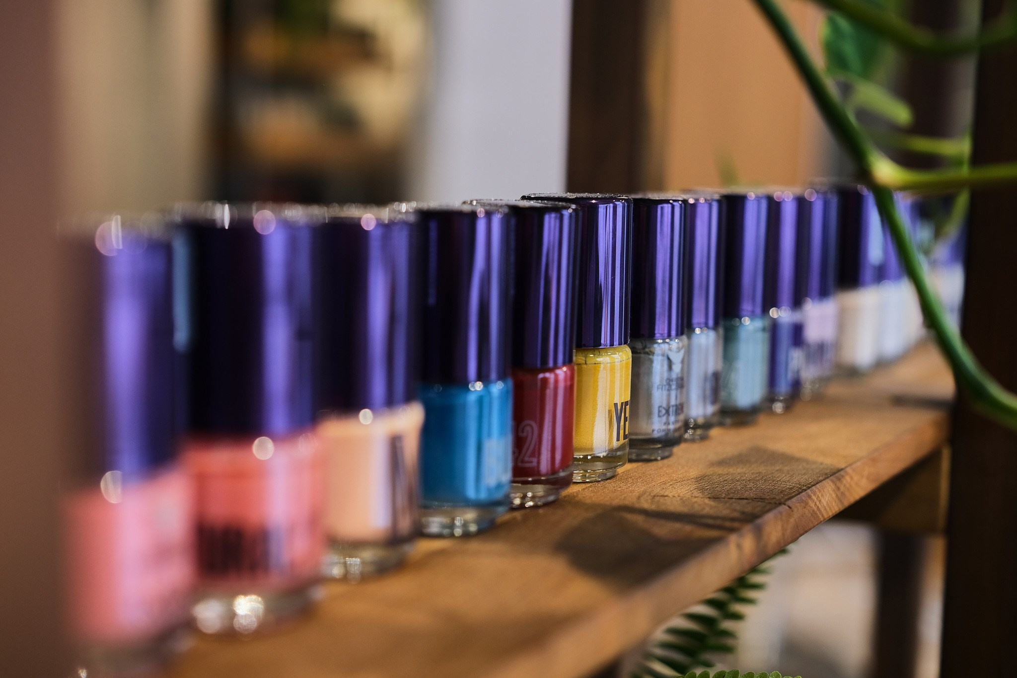 Iris. Организация фото/видео съемки, Москва