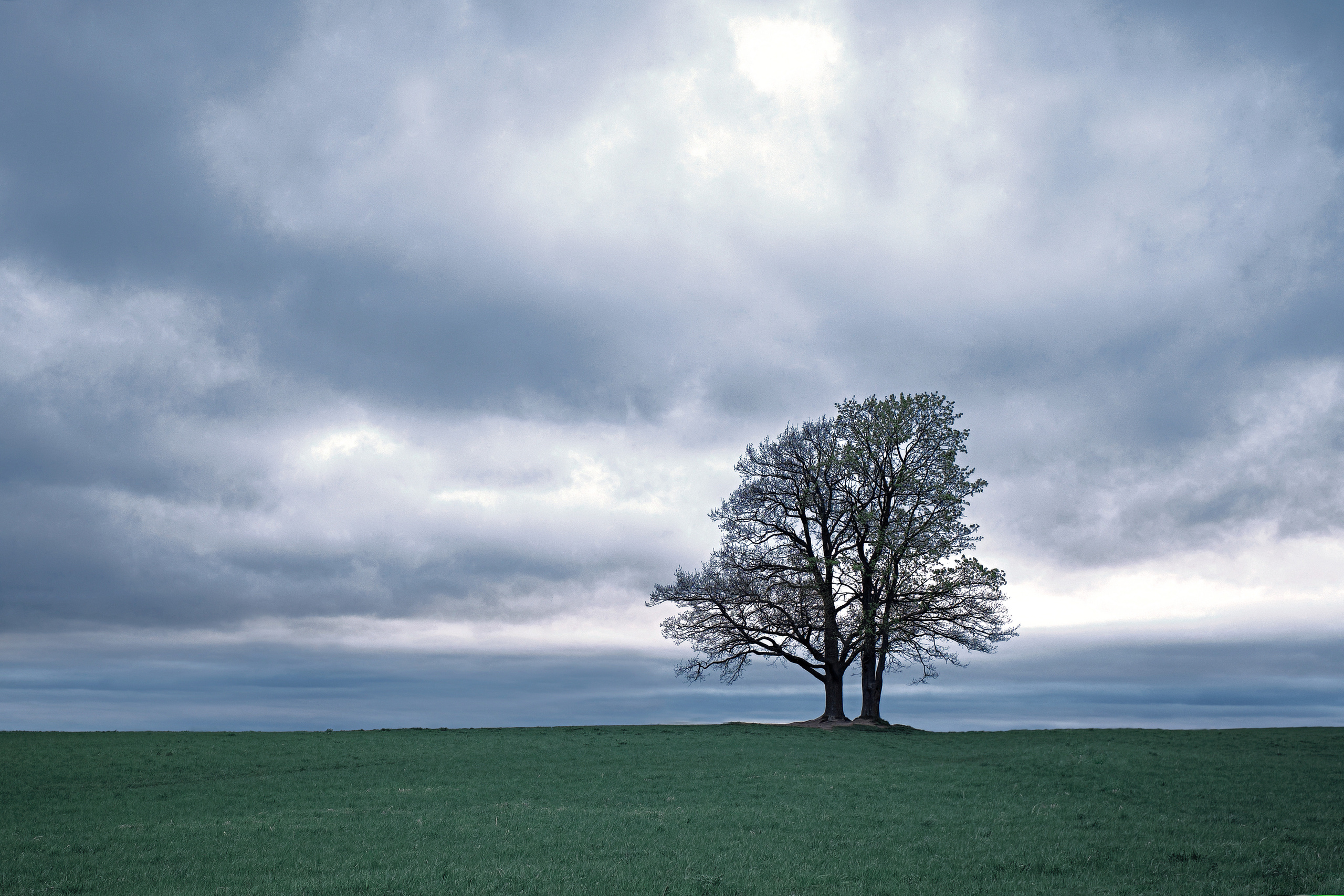 Landscape. Zaoksky.Photo Санкт-Петербург