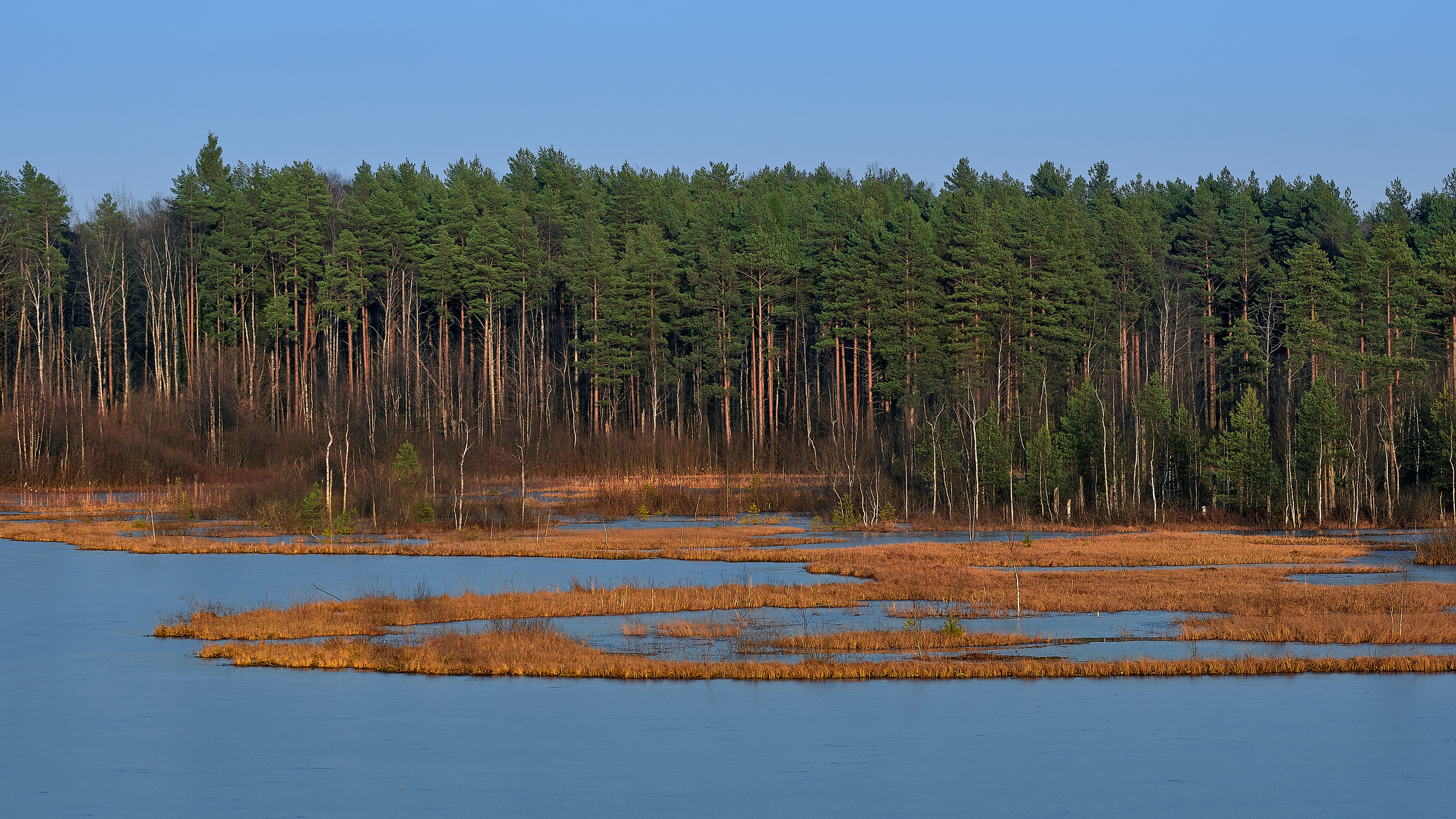 Landscape. Zaoksky.Photo Санкт-Петербург