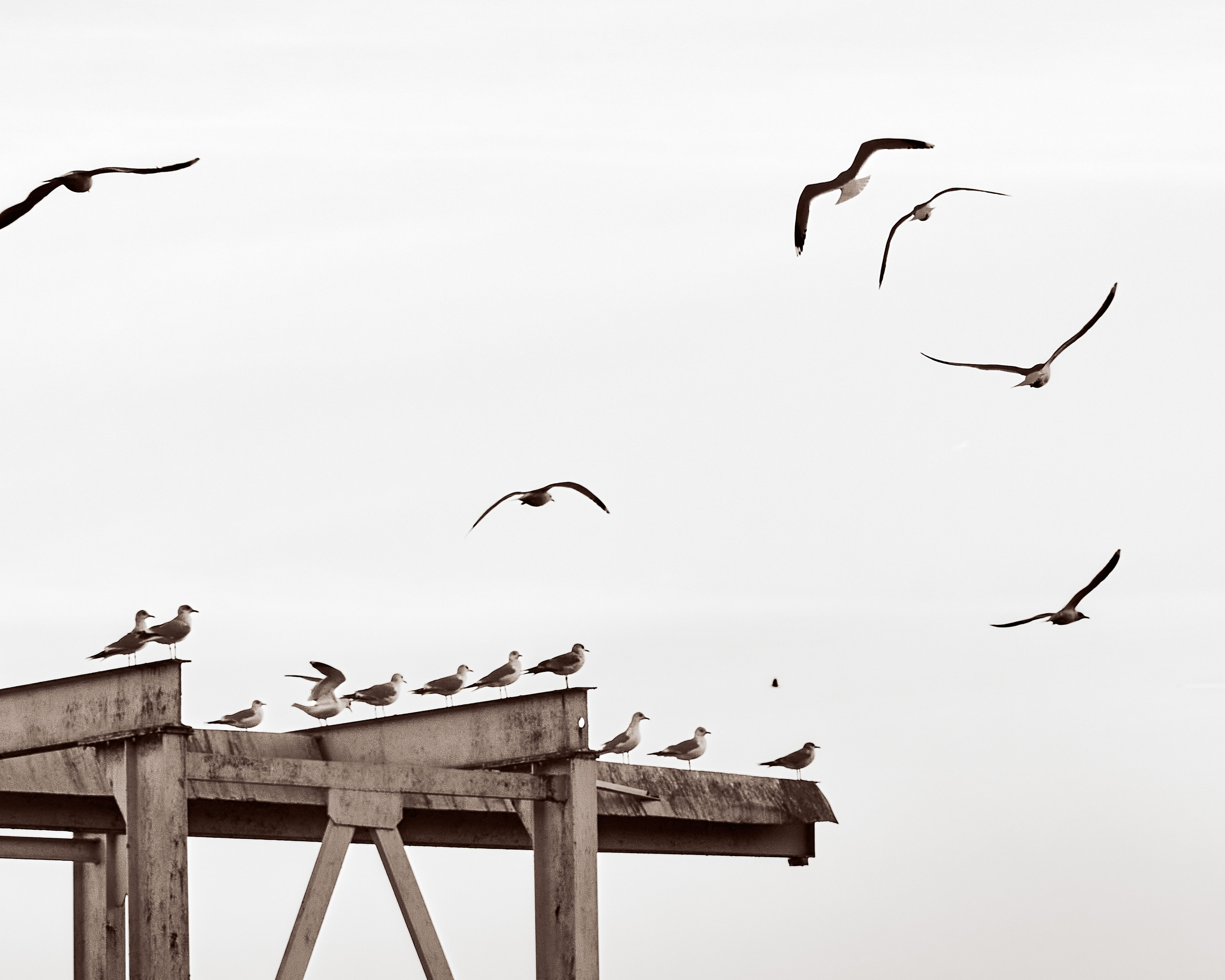Street photography. Zaoksky.Photo Санкт-Петербург