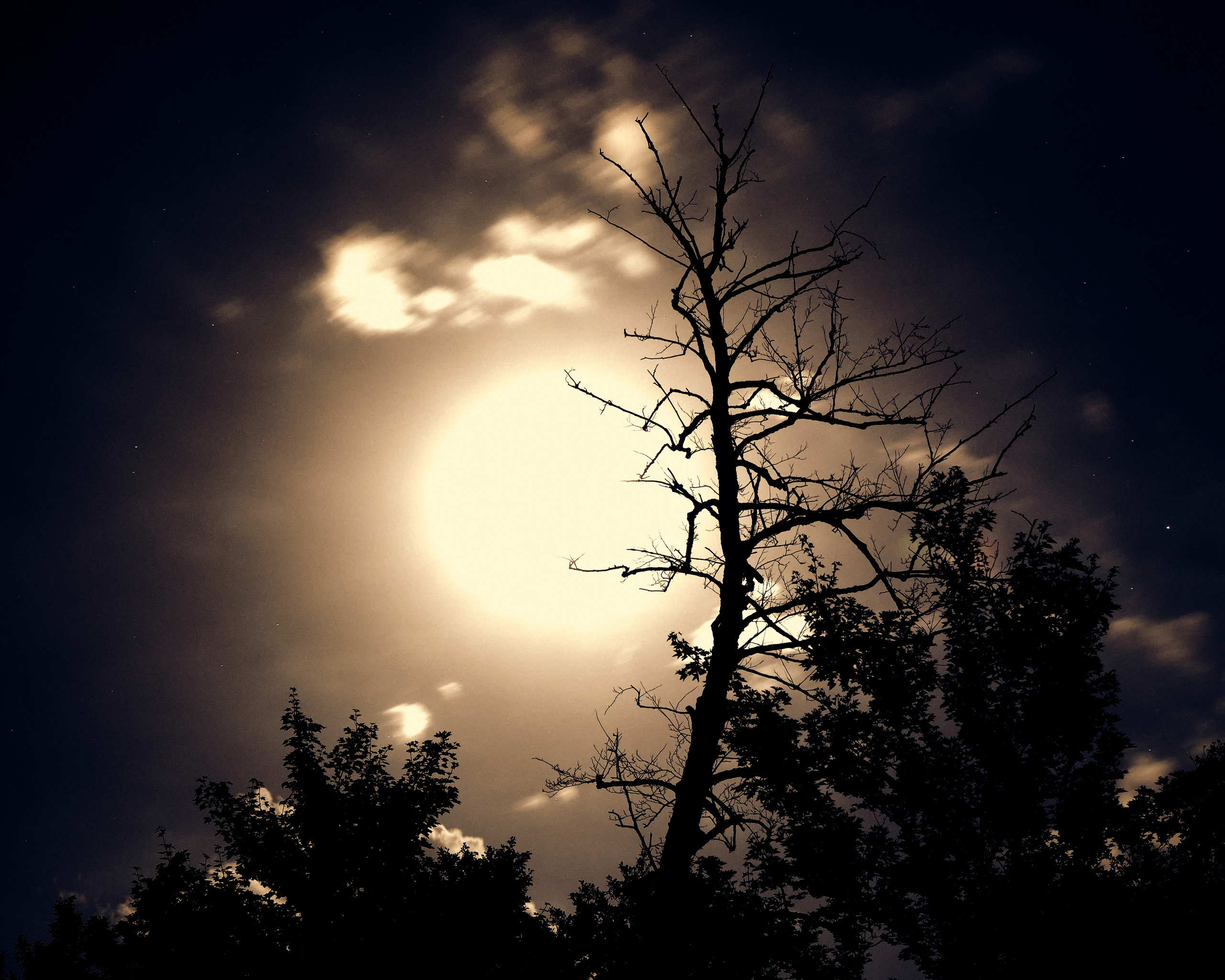 Landscape. Zaoksky.Photo Санкт-Петербург