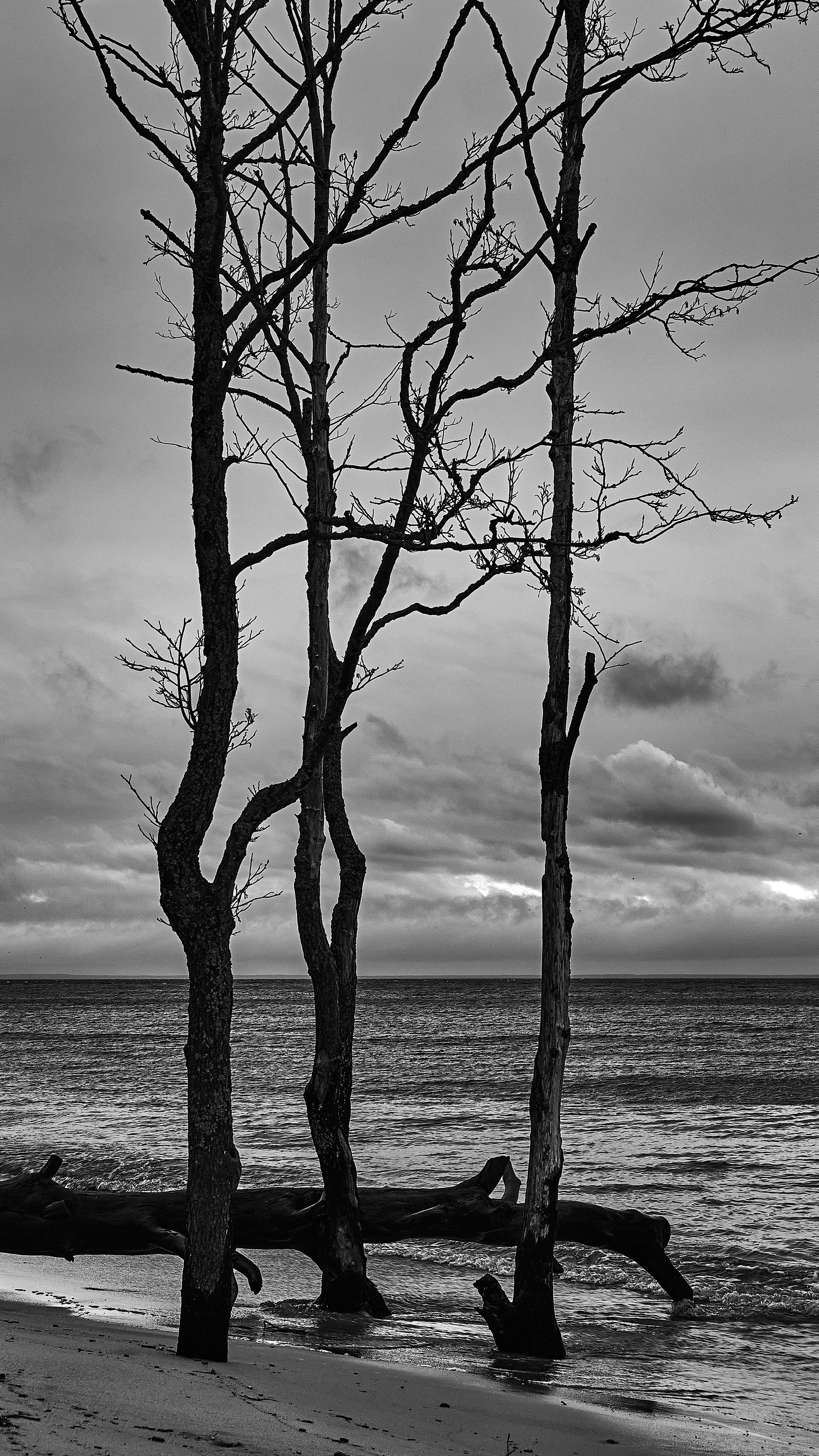 Landscape. Zaoksky.Photo Санкт-Петербург