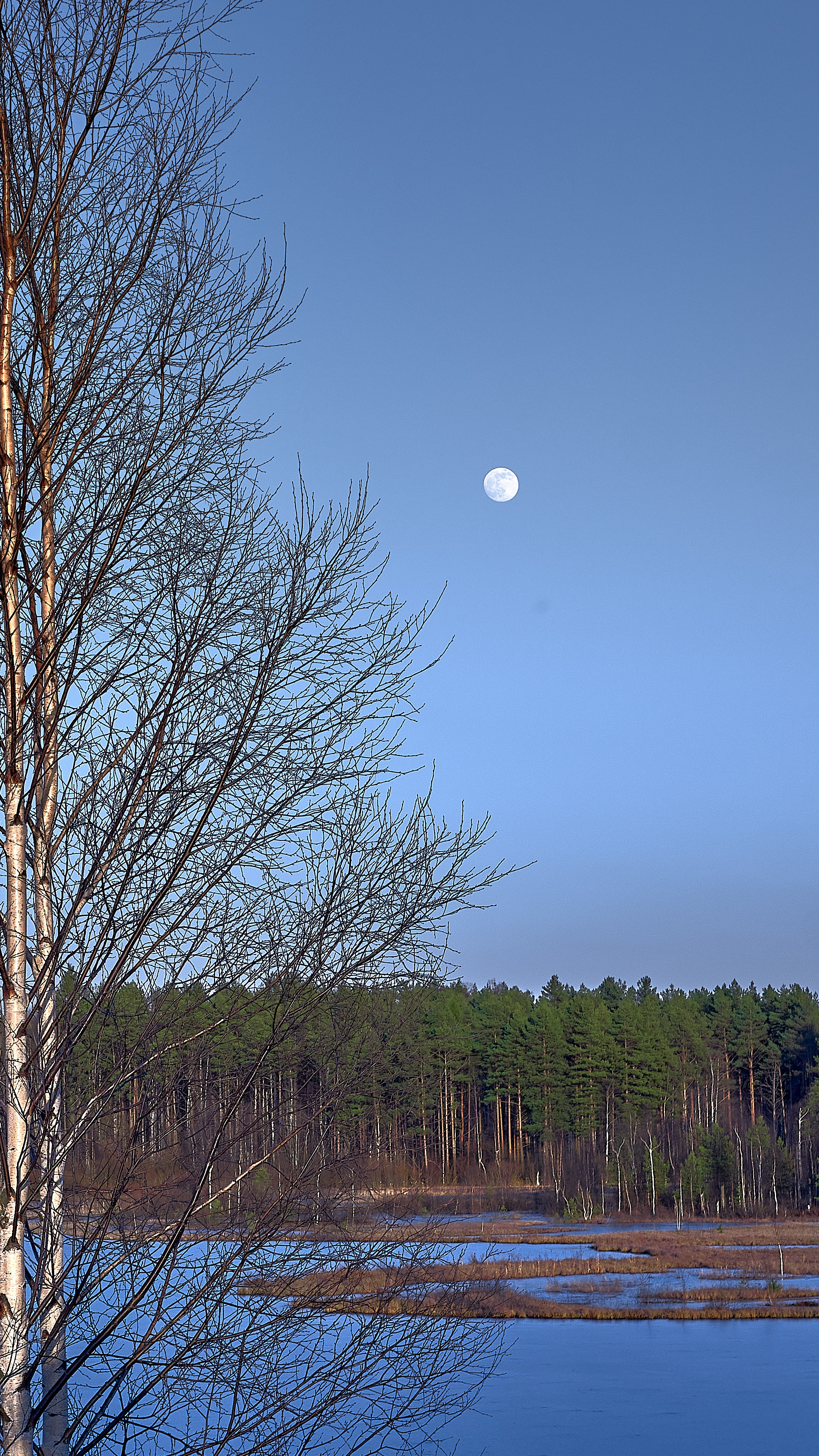 Landscape. Zaoksky.Photo Санкт-Петербург