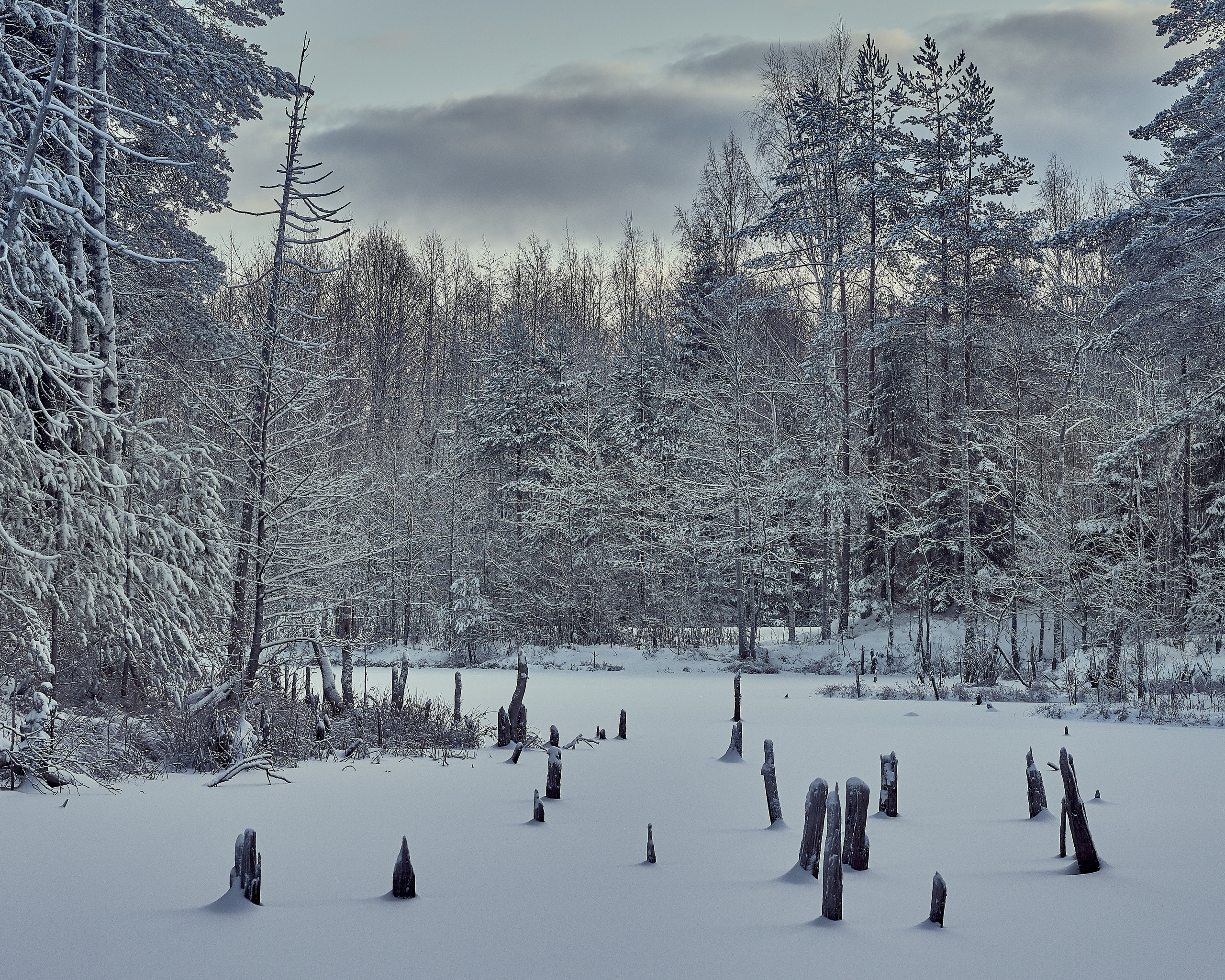 Landscape. Zaoksky.Photo Санкт-Петербург
