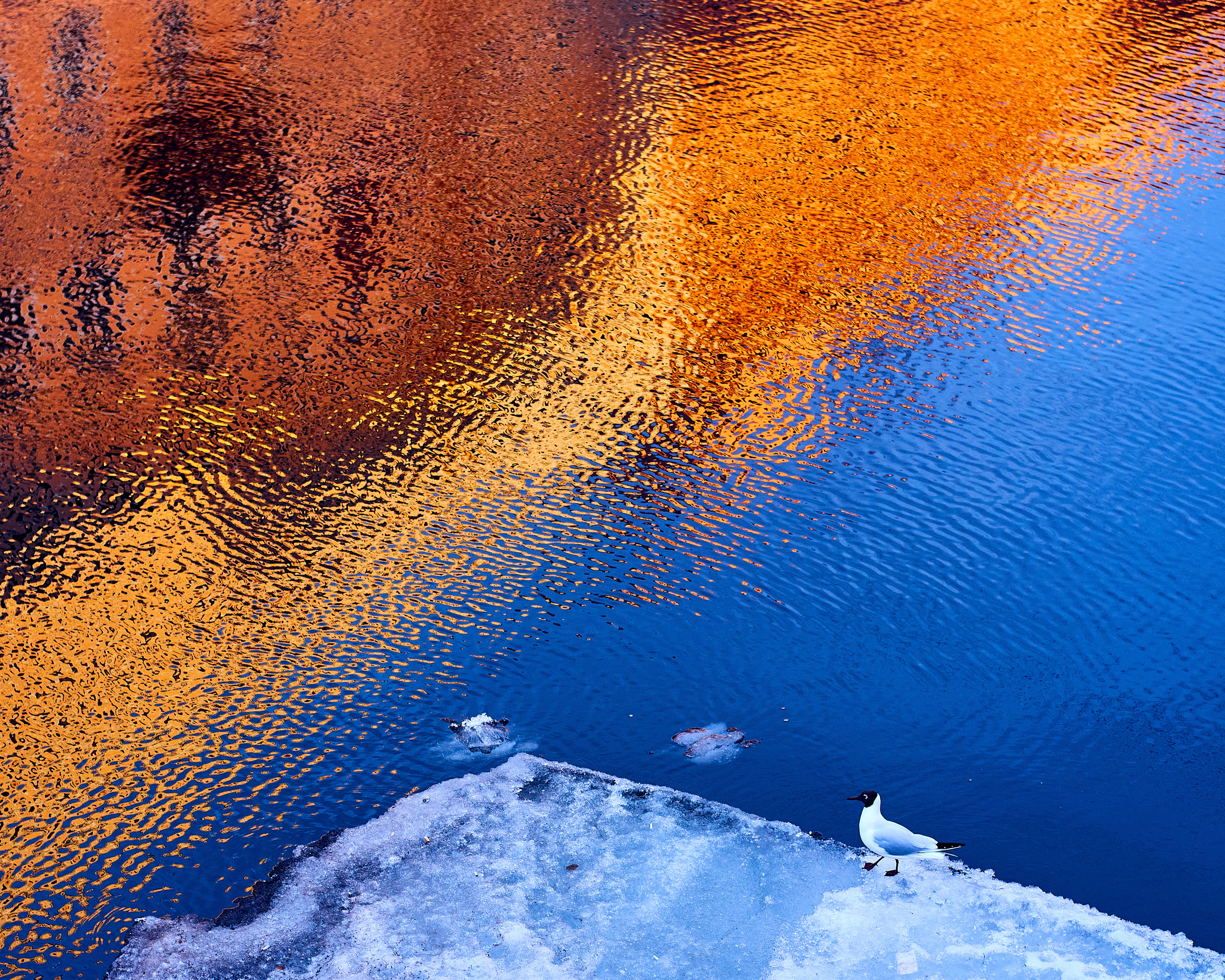 Street photography. Zaoksky.Photo Санкт-Петербург