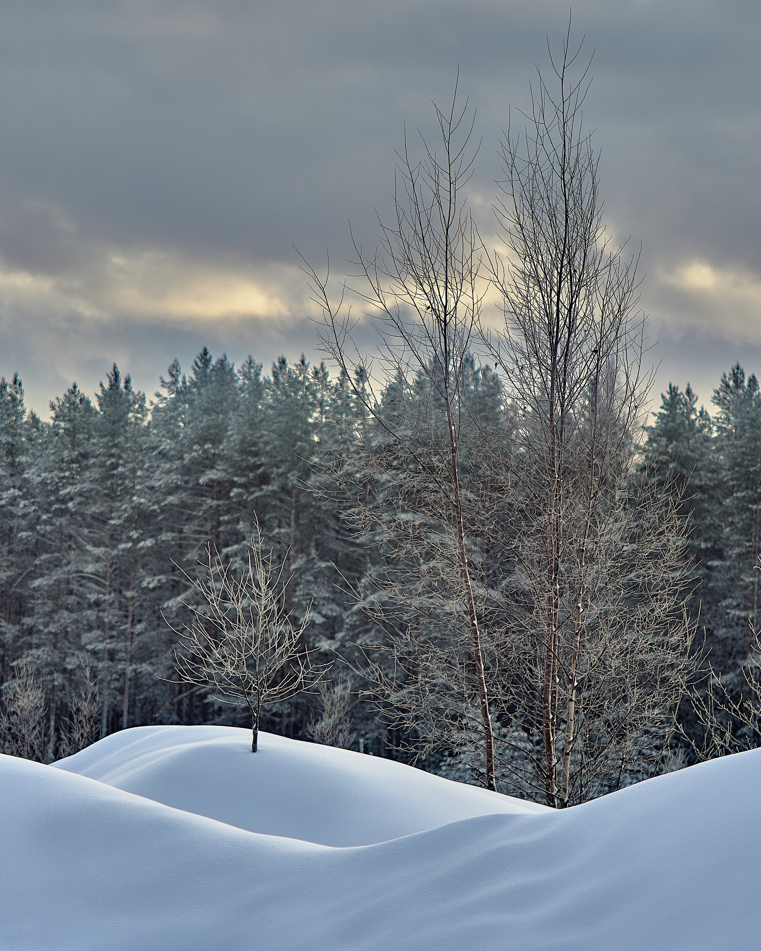 Landscape. Zaoksky.Photo Санкт-Петербург