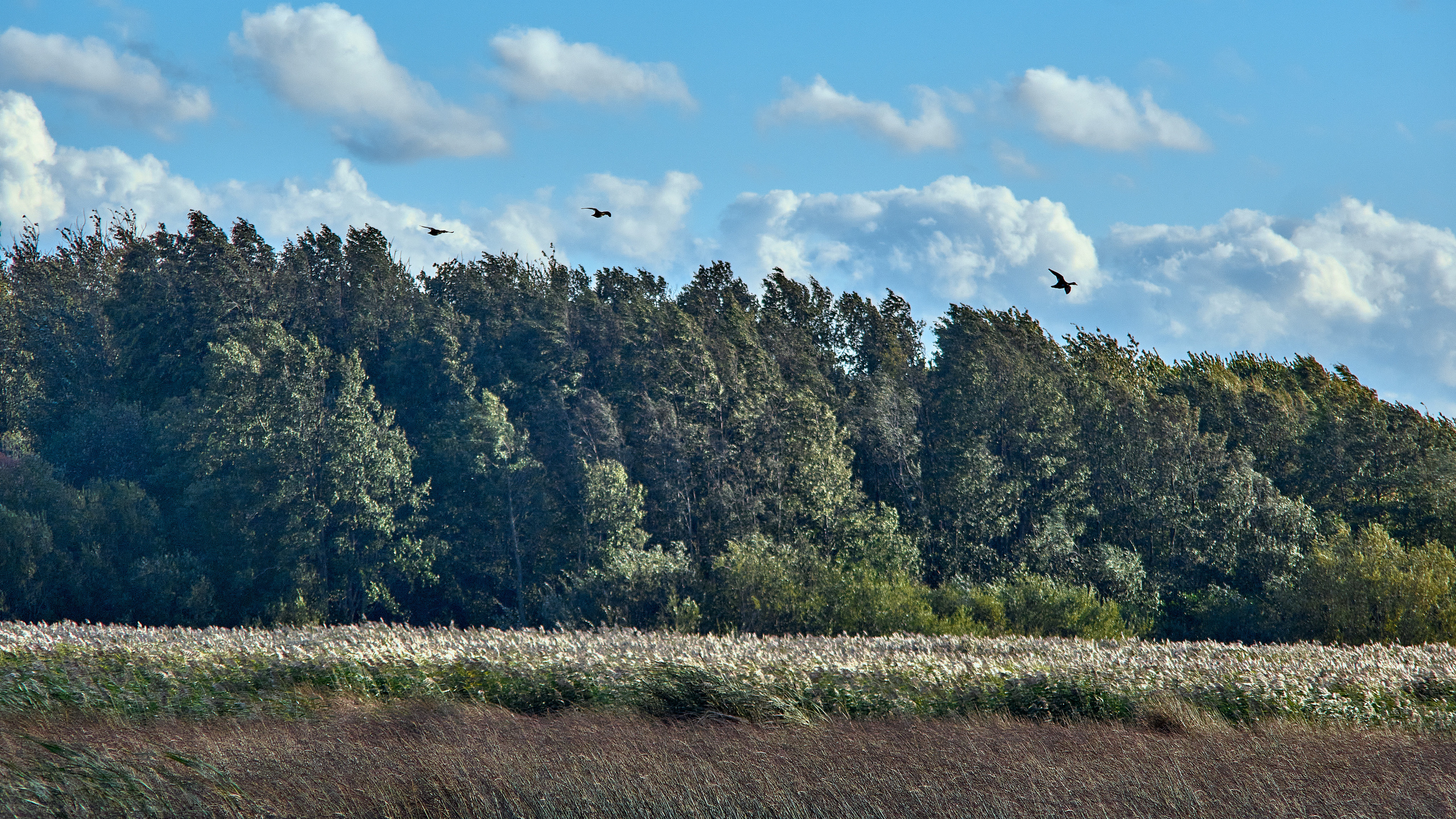 Landscape. Zaoksky.Photo Санкт-Петербург
