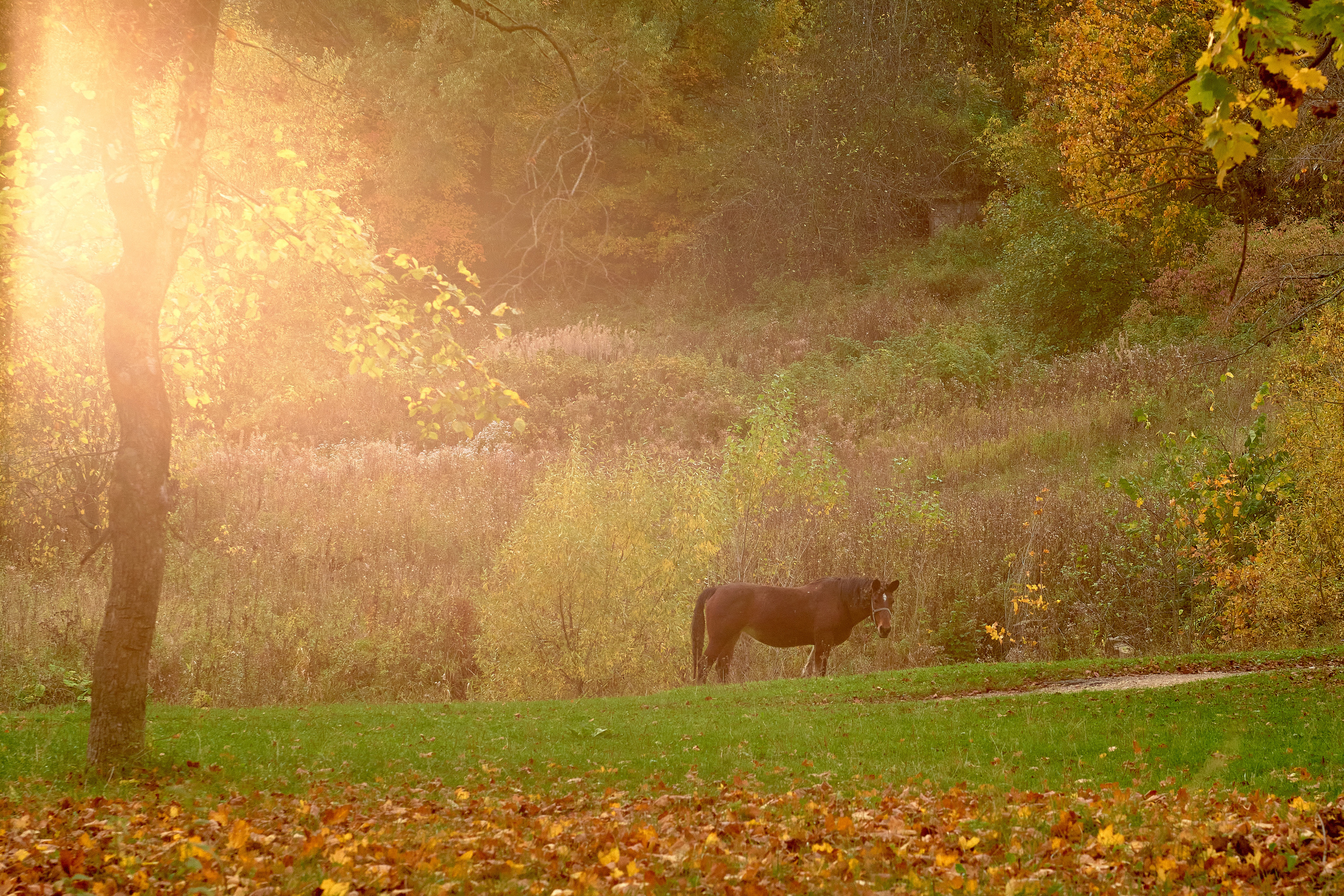 Landscape. Zaoksky.Photo Санкт-Петербург