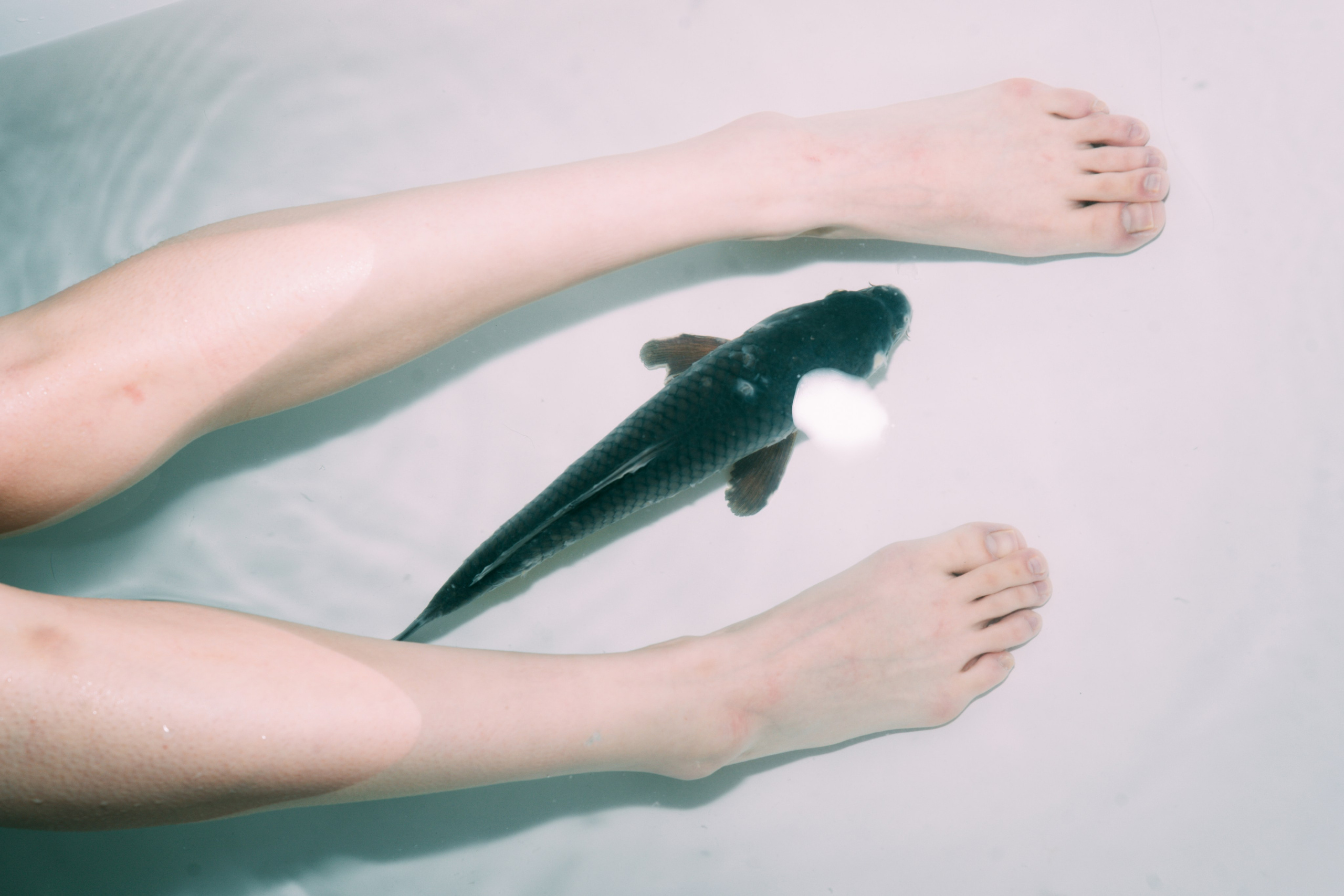 Carp Grisha. Sasha Speranskii — Conceptual Photographer | Based in Moscow