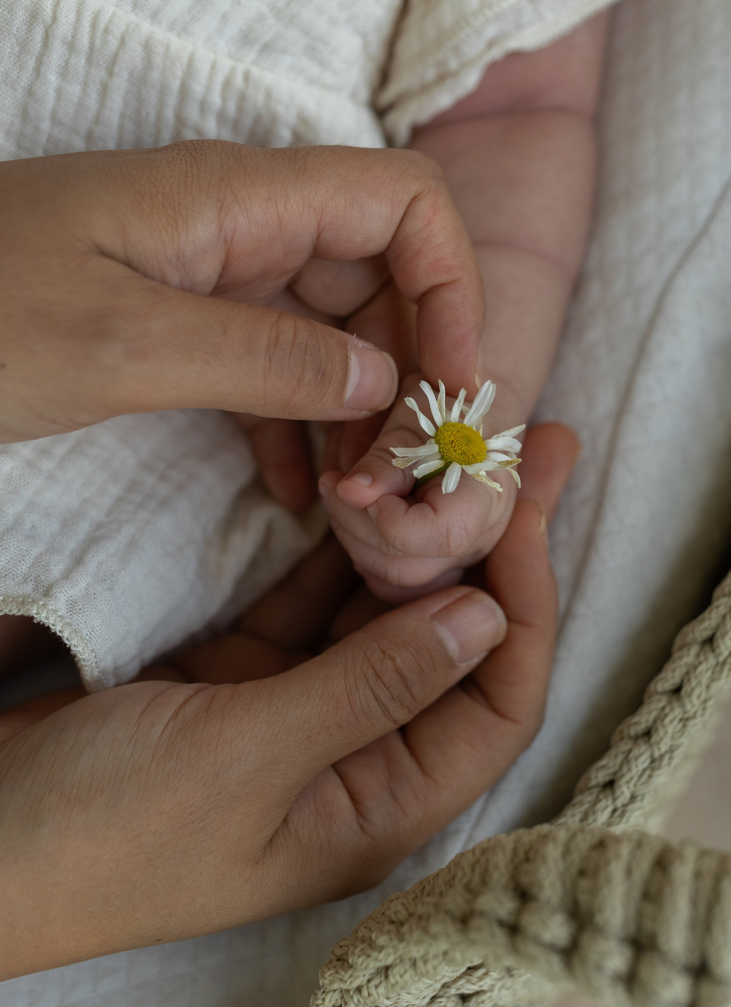 1 месяц Саше — летний пикник в парке. Семейный и детский фотограф в Москве Олеся Маркина