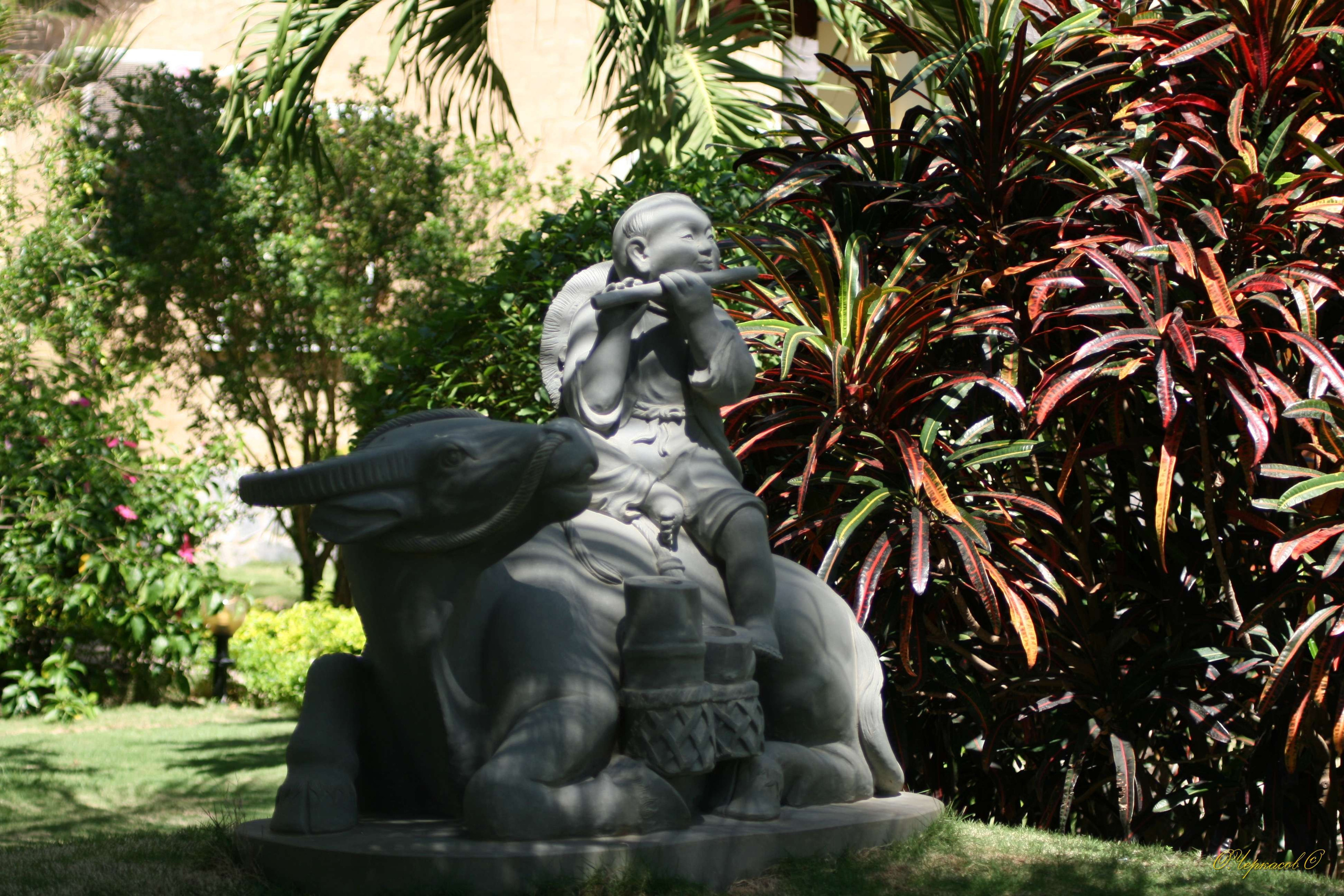 Вьетнам 2008 г. Улица, люди, жизнь…