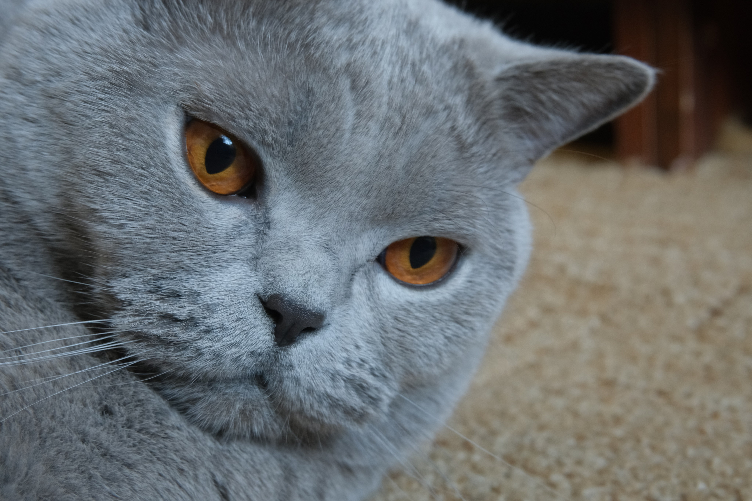 Улица, люди, жизнь…