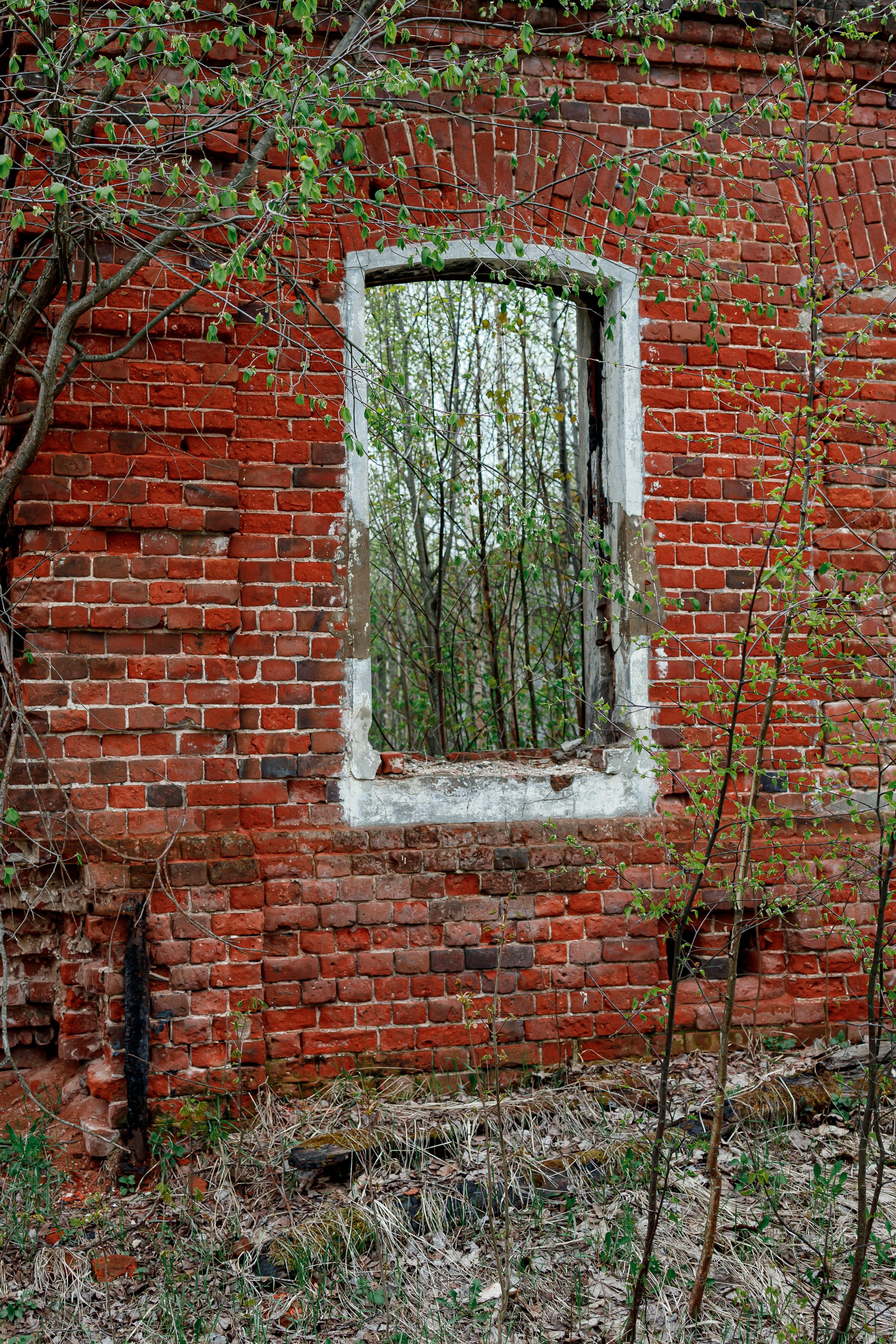 Непривычная фотография. Репортажный и портретный фотограф в Москве Саханцева Анна